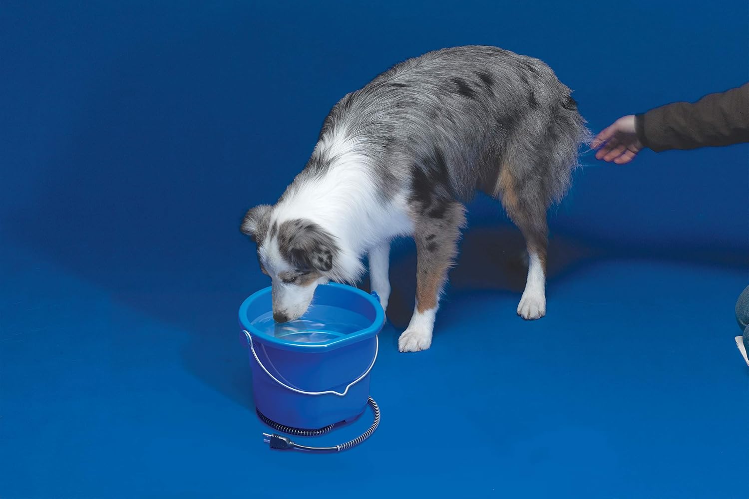 API Heated Bucket Heated Flat Back Bucket, 10 Quart (Item No. 10FB)