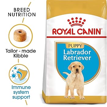 Amazon.co.jp: ロイヤルカナン BHN ラブラドールレトリバー 子犬