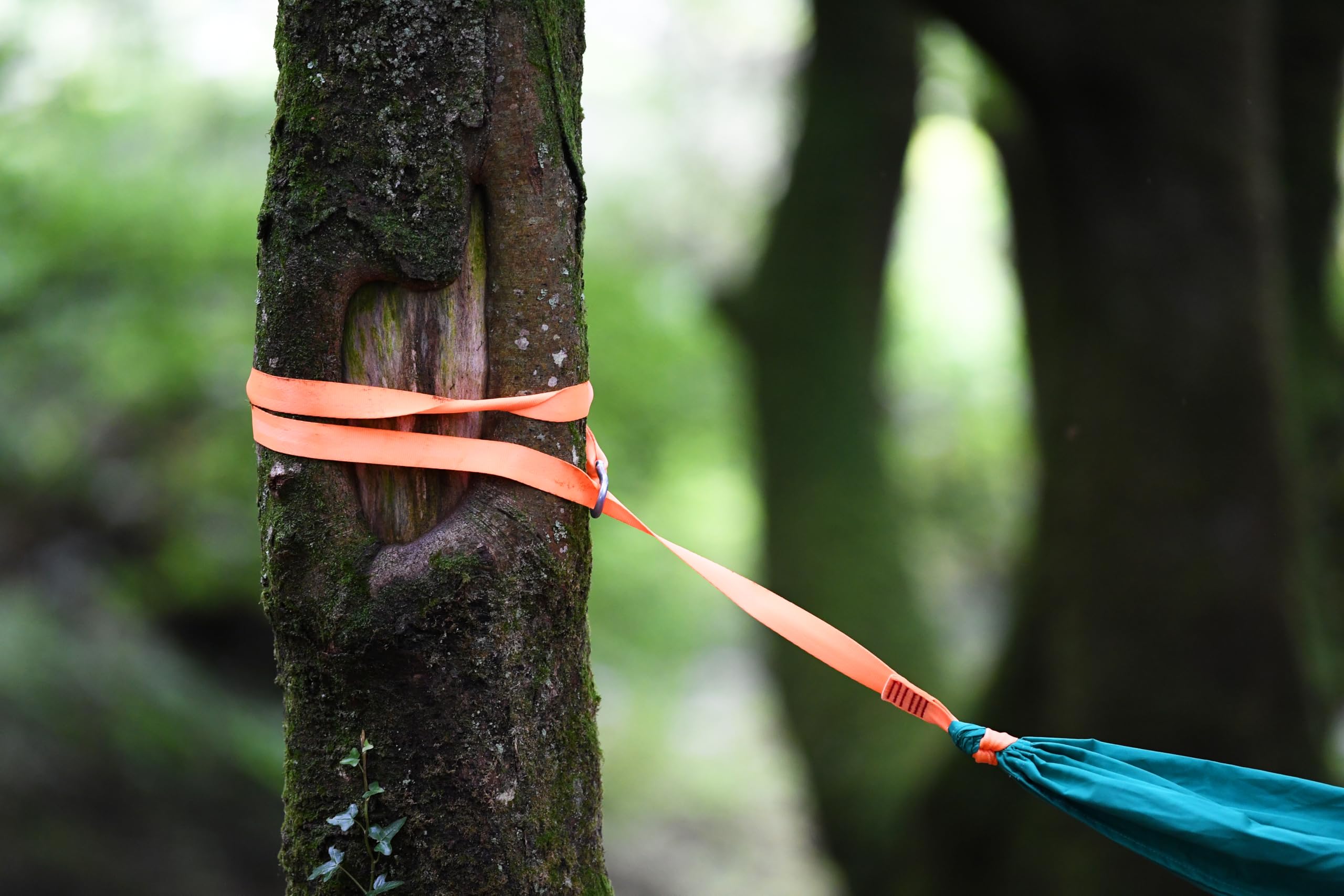 Swing, Hape Pocket Swing For Kids And Adults (Nature Fun Outdoor Toys Series). 5 years +