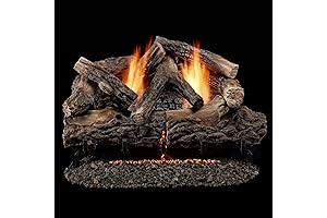 B24DR-ES4 Dual Fuel Ventless Fireplace Gas Logs, Propane Remote Control