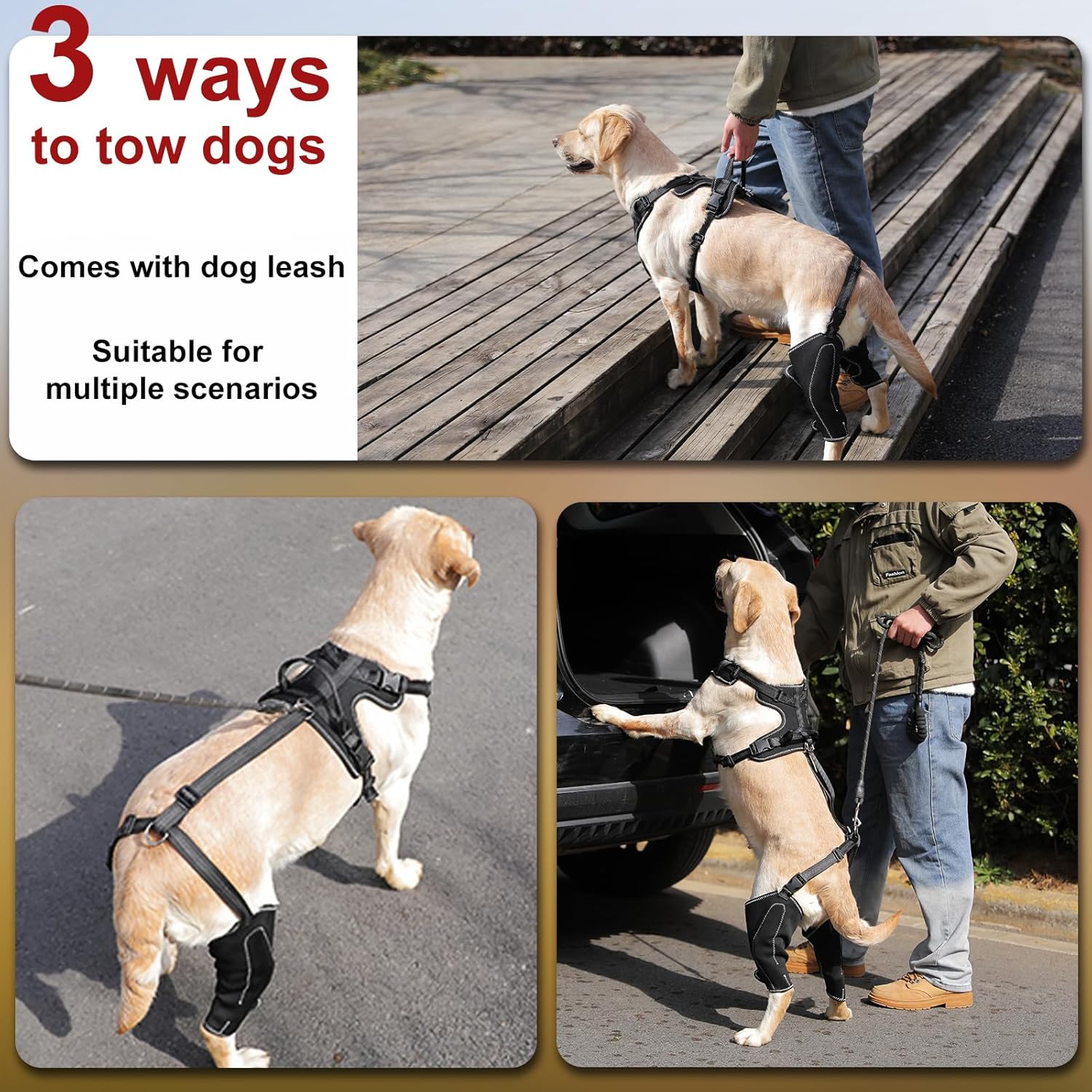 Dog Hip Knee Metal Hip Joint Brace Support Adjustable Length Harness with Front & Back Puppy L Sizes Dogs Pet 4 Limbs Wear Surgery Aid Recovery with Traction Rope