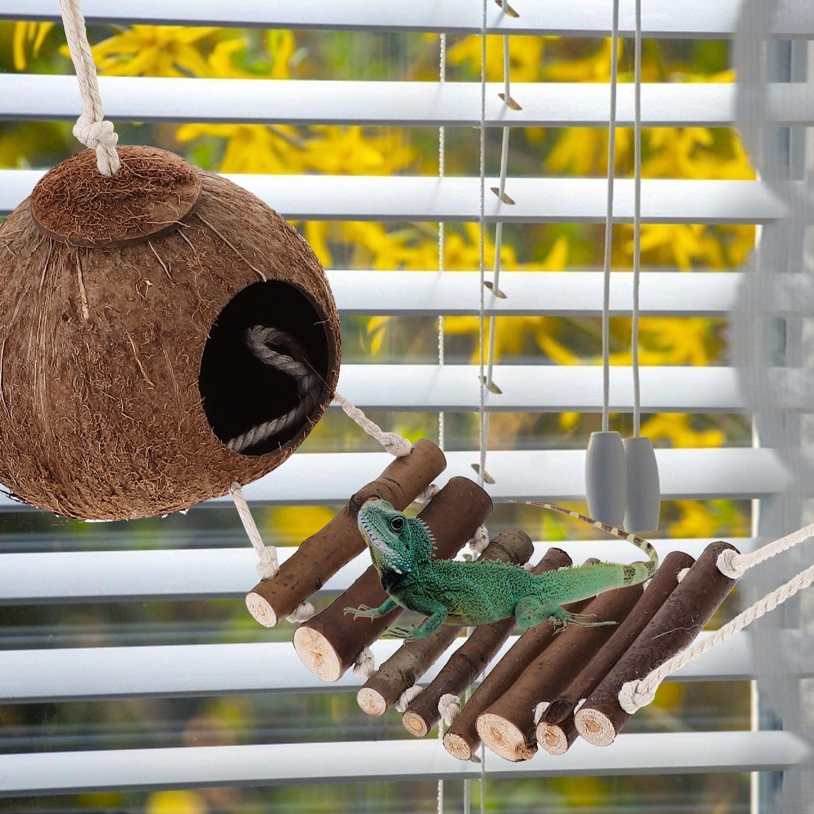 HEMOTON Refugio para Cangrejo Ermitaño de Madera Natural con Escalera, Escondite Rústico para Terrarios, Accesorio Decorativo para Reptiles, Suministros para Hábitat de Crustáceos