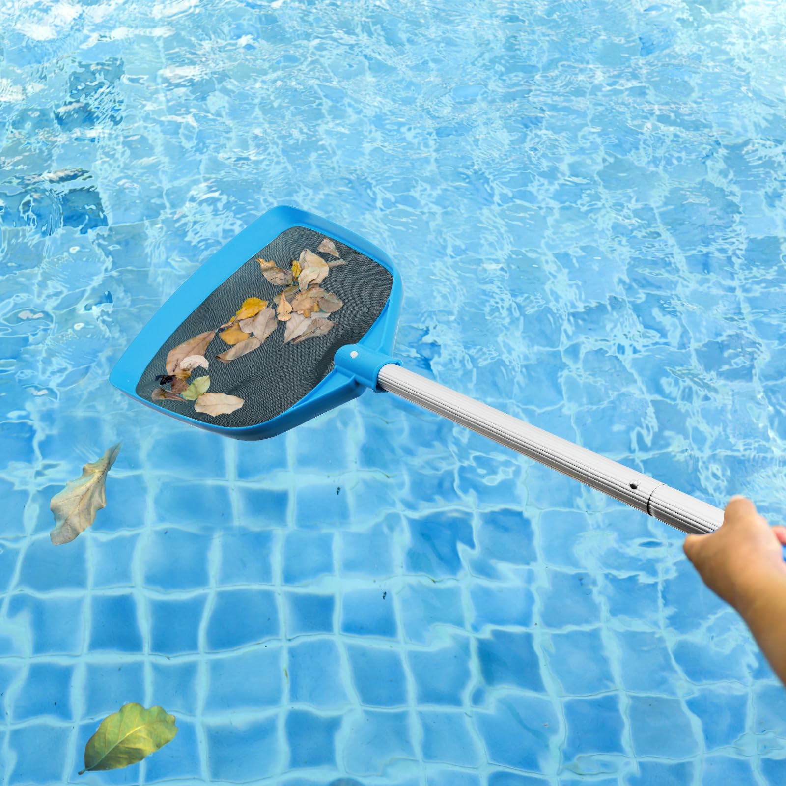 TidyMister Épuisette de piscine avec poteaux de 1,5 m de long