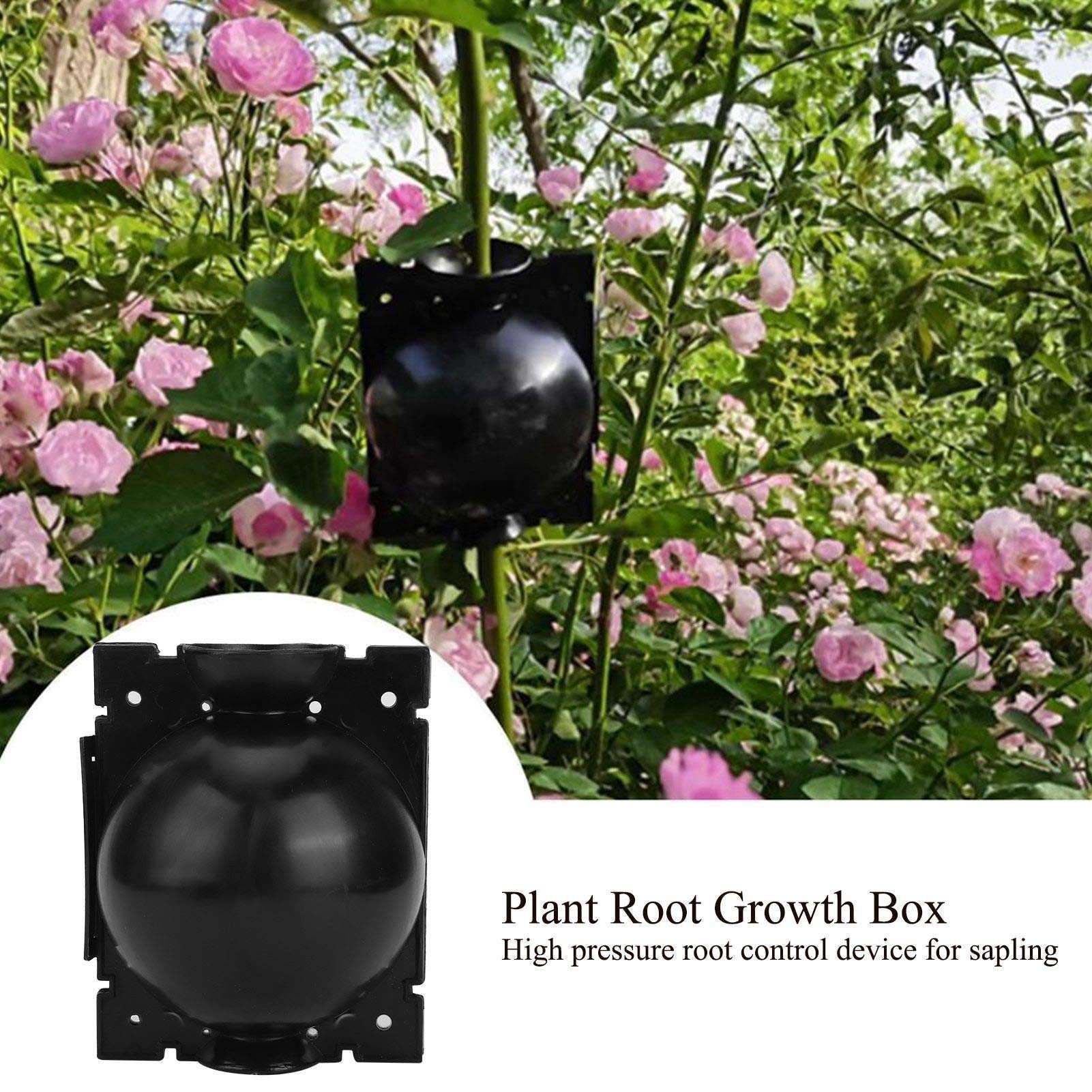 Urządzenie do Ukorzeniania Roślin Szczepienie Grow Box Akcesoria Ogrodnicze Zapewniające Zdrowy Wzrost Korzeni Roślin (BLACK)