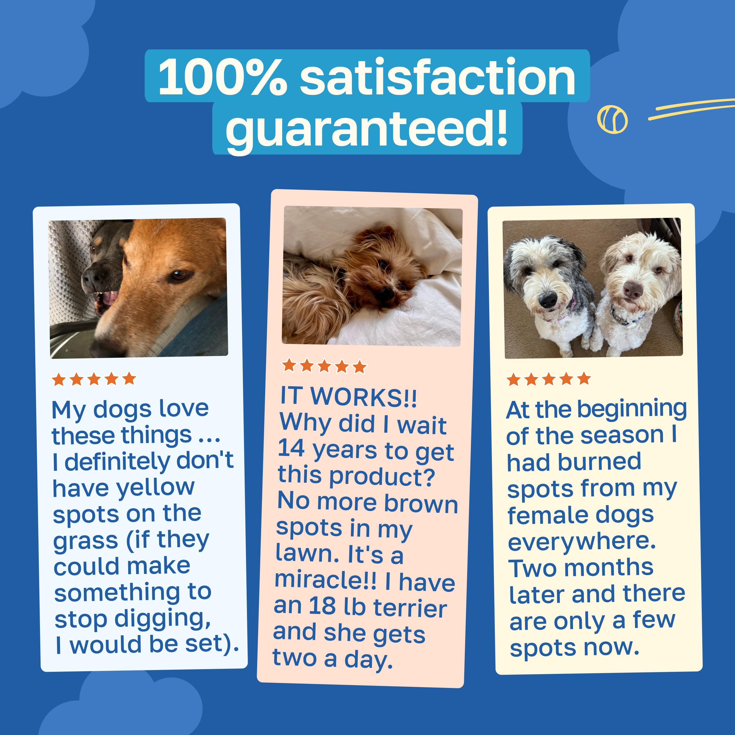 Happy Paws Lawn Saver Supplement, Dog Probiotics, 100 Soft Chews — Amazon image 6