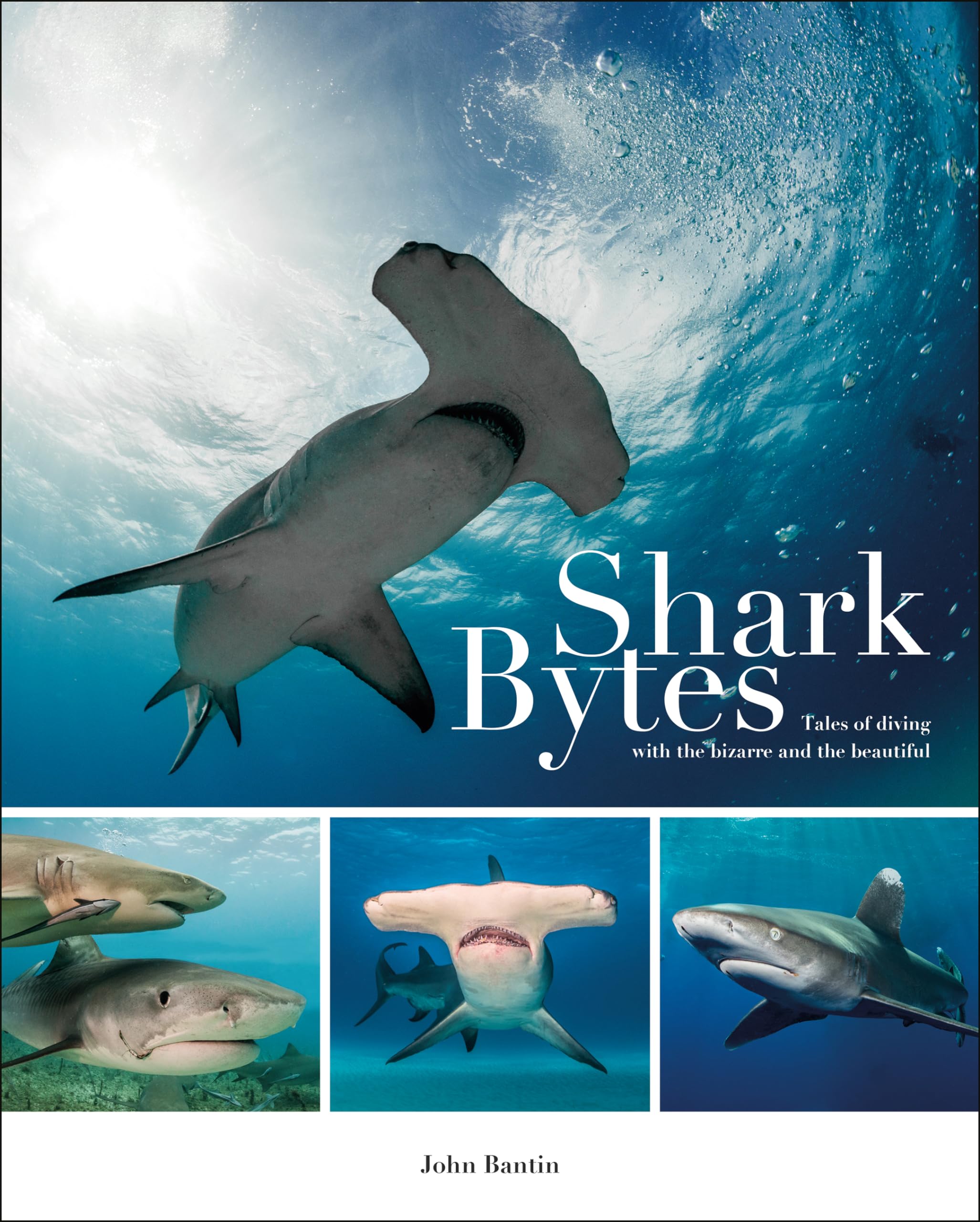 Shark Bytes: Tales of Diving with the Bizarre and the by John Bantin PAPERBACK