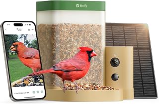 Birdfy Smart Bird Feeder with Camera for Beginners, Solar Powered Rookie