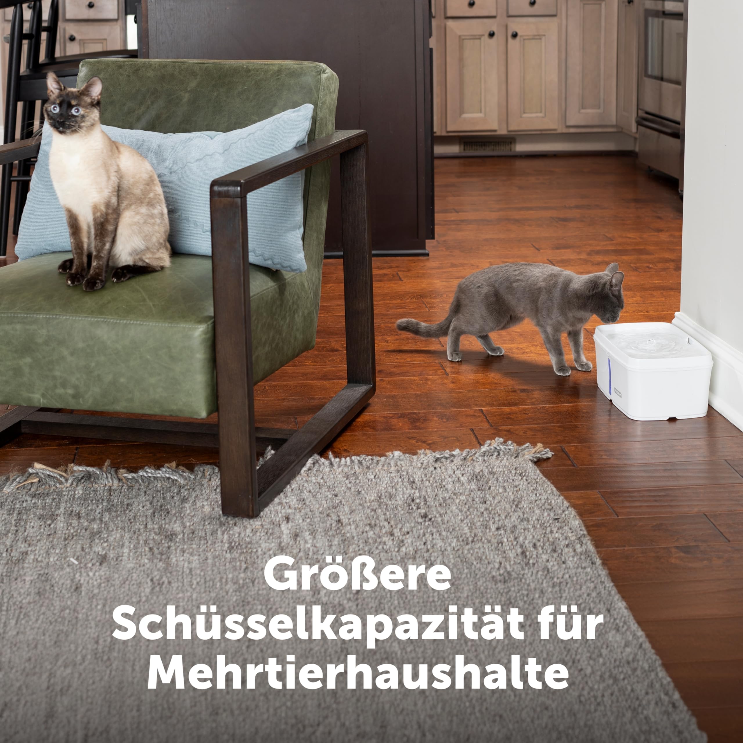 PetSafe Viva Trinkbrunnen für Katzen und kleine Hunde – 4,1 l/140oz, Trinkbrunnen für Katzen für den Innenbereich mit extrem leiser Pumpe, spülmaschinenfest, leichte Reinigung, Wasserfilter enthalten