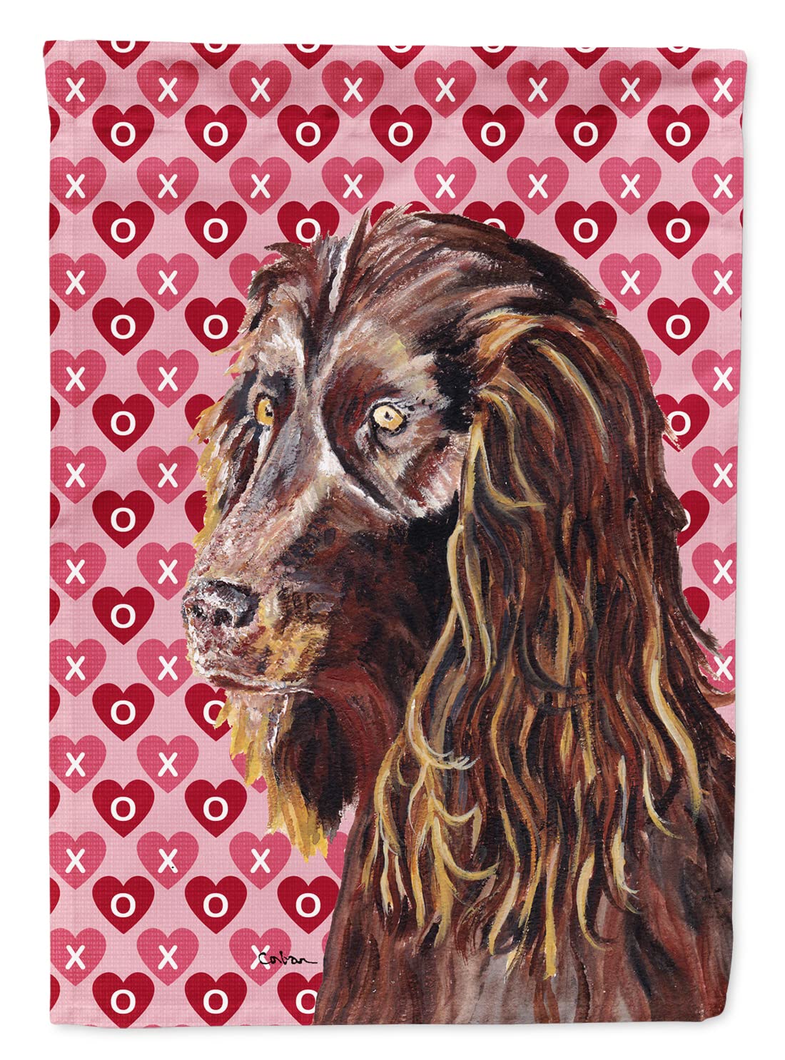 Drapeau Boykin Spaniel anti-décoloration grand format canevas pour jardin hivernal