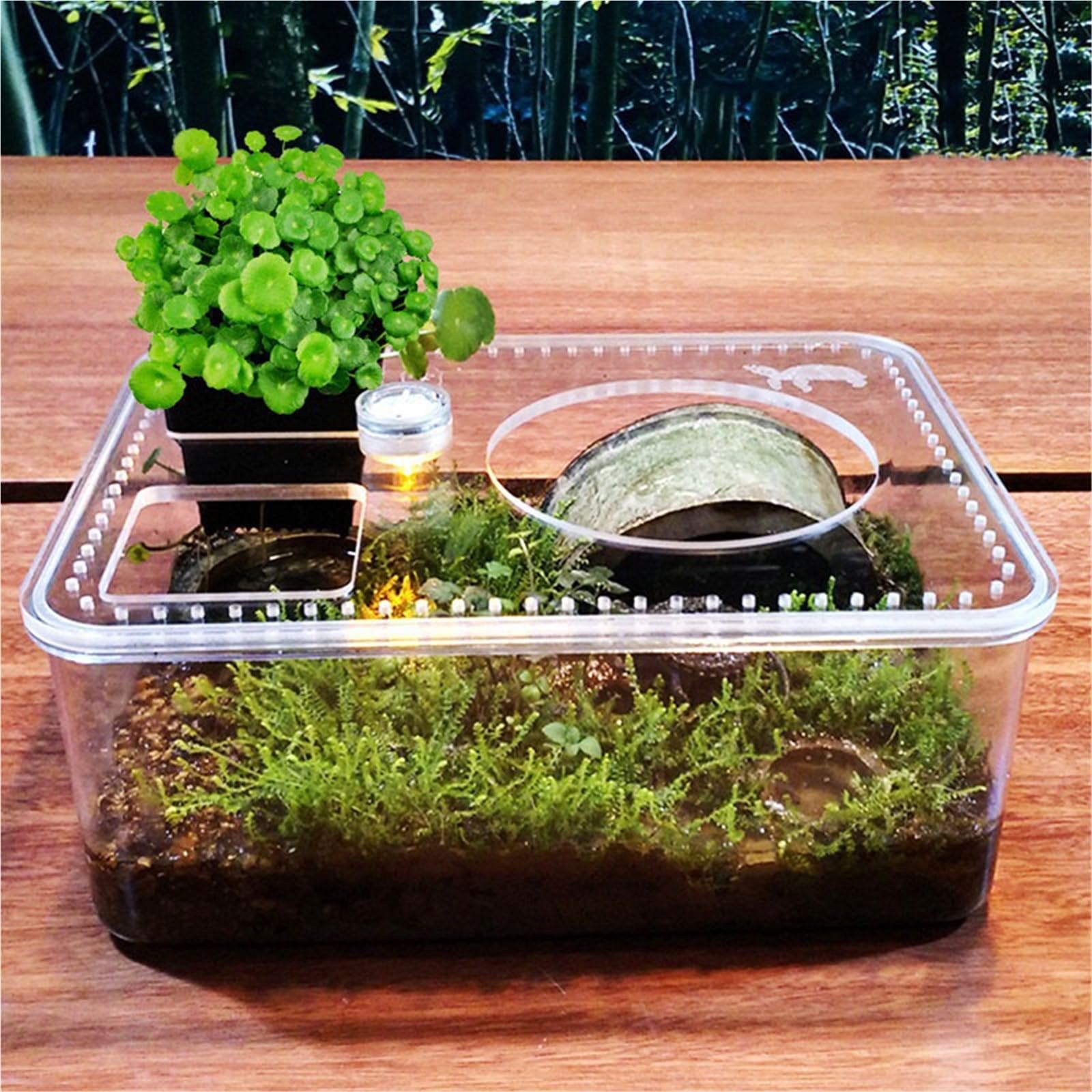 Acquario per tartarughe Acquario e terra for l'allevamento delle tartarughe con piattaforma for l'essiccazione al sole, piccolo desktop