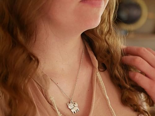 Miniatura 15 de Collar de raza de perro Grupo A