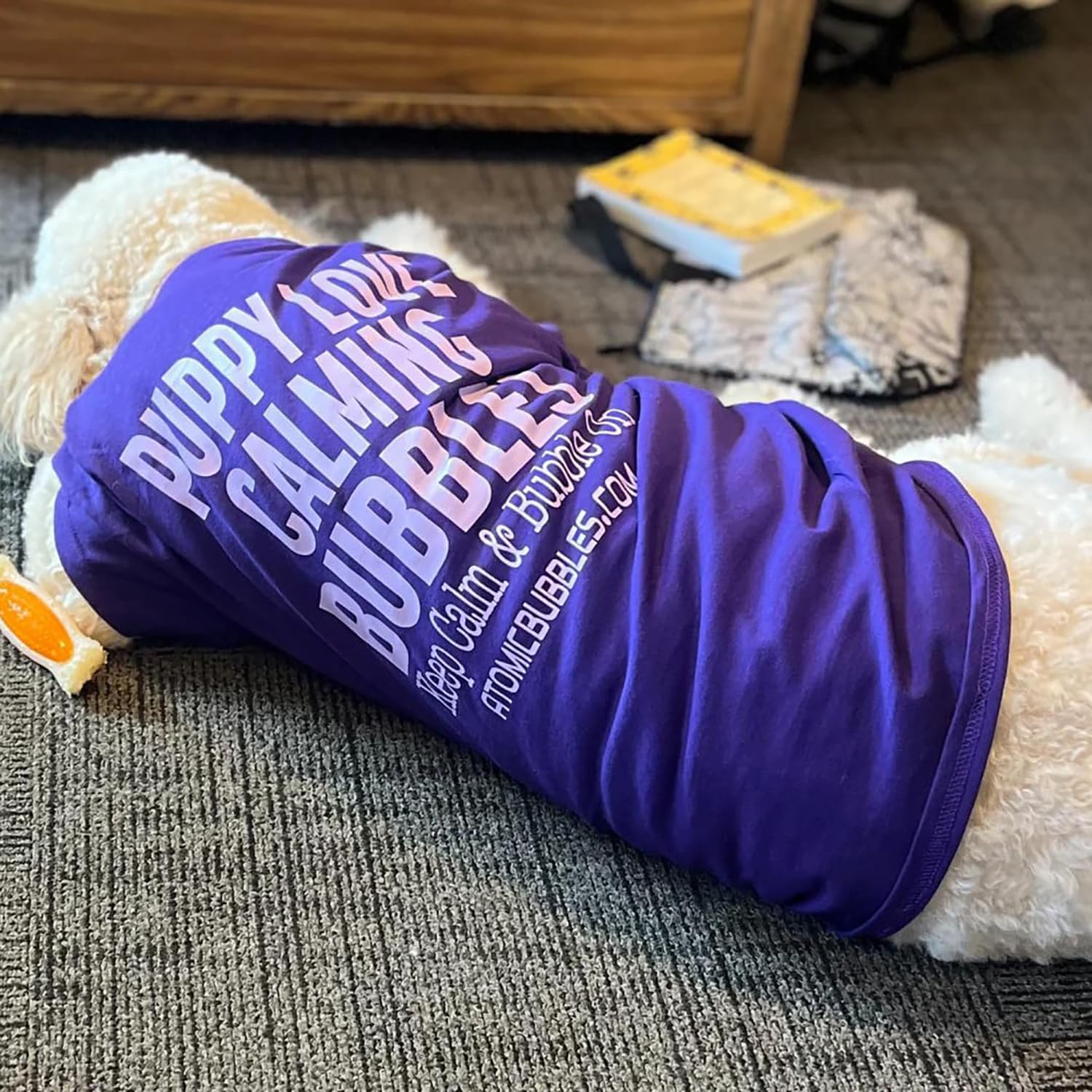 View 5