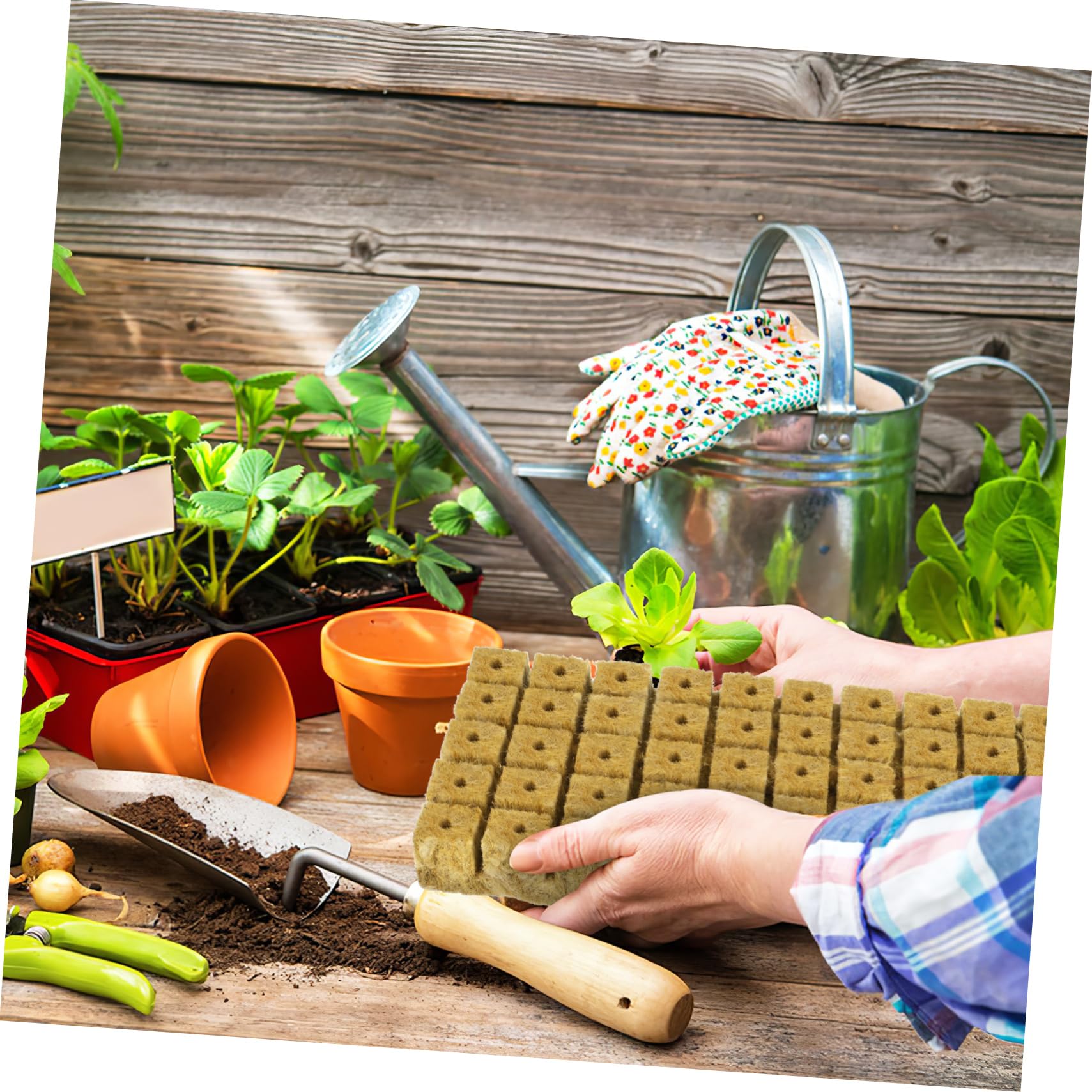 Toddmomy 3 Ensembles Cubes De Culture Hydroponique Pour Bouturage Et Propagation De Plantes Matériau Premium Avec Excellente Rétention Eau Et Perméabilité À Air Pour Culture 100 Pièces * 3