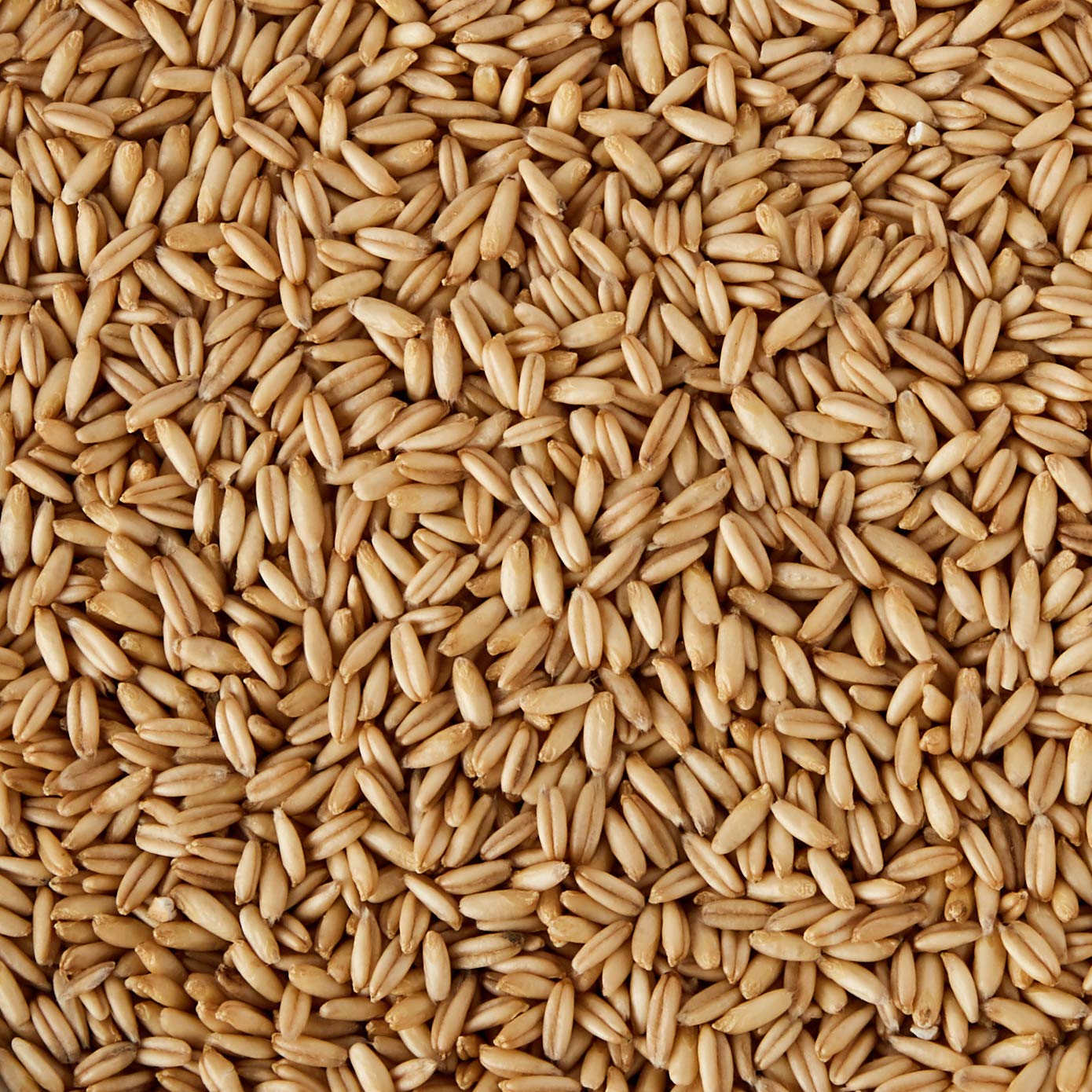 Biográ Avena En Grano 500G Biogra Bio Biográ 100 g