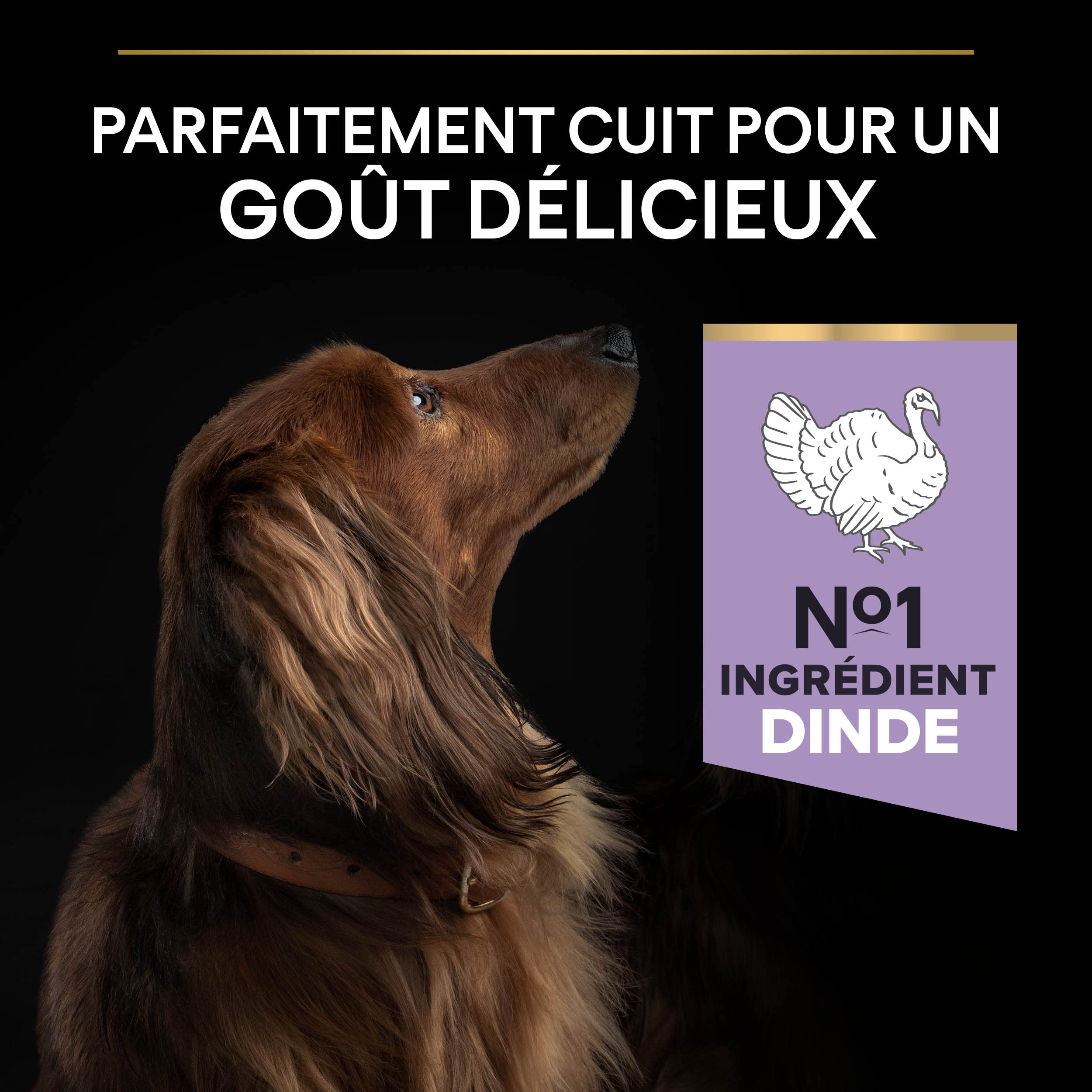 PURINA PRO PLAN | Sensitive Digestion | Croquettes complètes pour chiens adultes de petite taille | Favorise un système digestif sain |Riche en Dinde | Croquettes | Chiens adultes | Sac de 7kg | Croquettes Chien Petite Taille Digestion Sensible Saveur Din