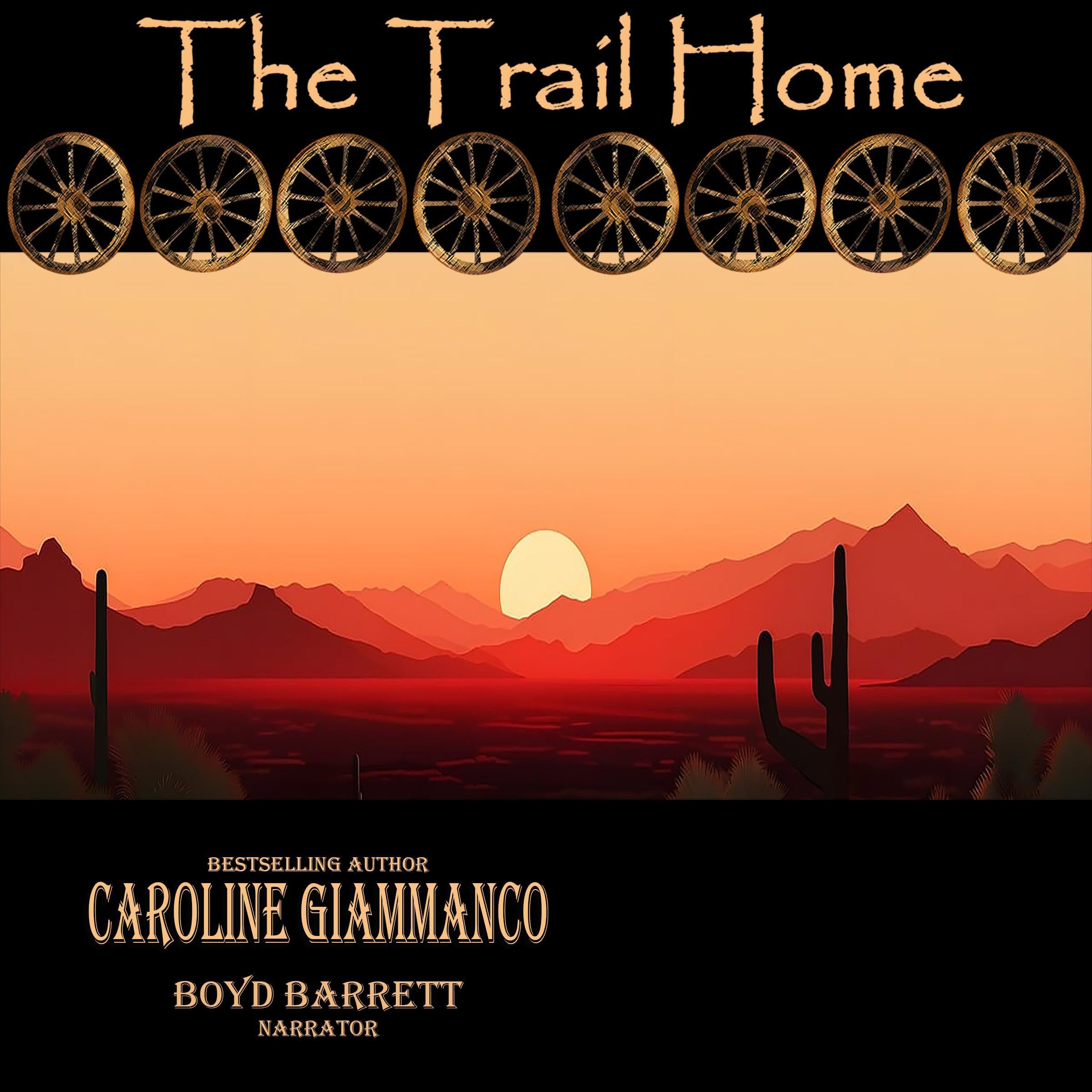 Cover art for The Trail Home