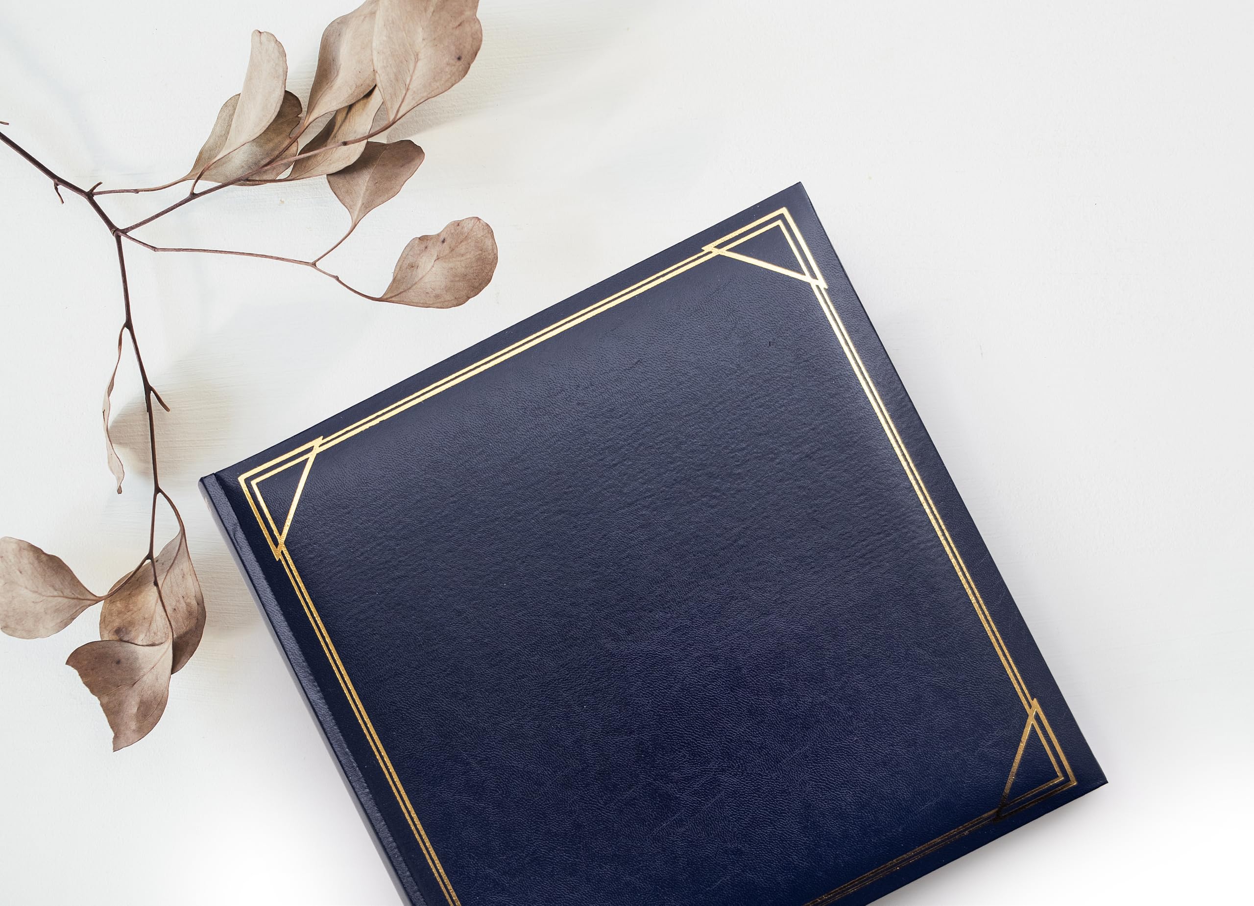 walther design Album Fotografico Verde 30 x 30 cm Similpelle con goffratura, Album Standard MX-200-A