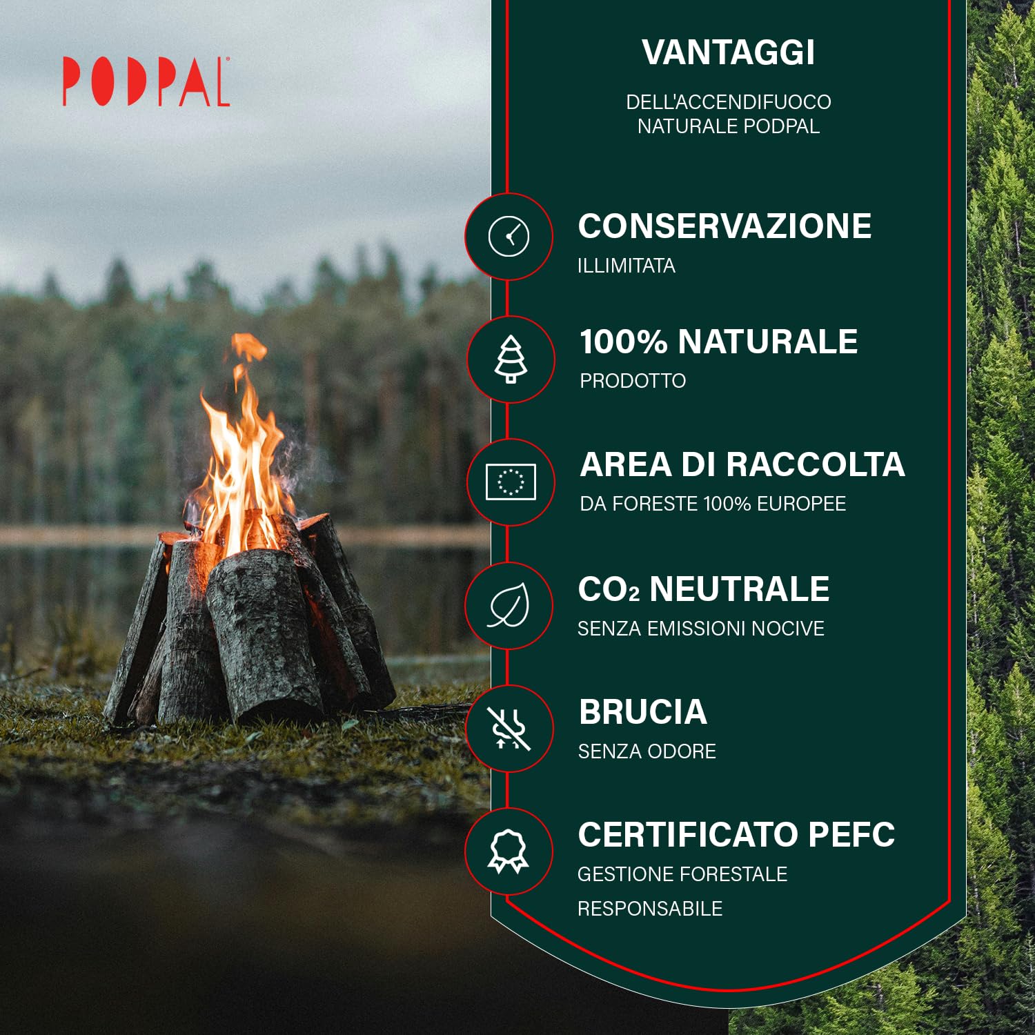 Legnetti Accendifuoco Ecologici 2kg 200 Pezzi Lana di Legno e Cera per Camino Stufa Barbecue