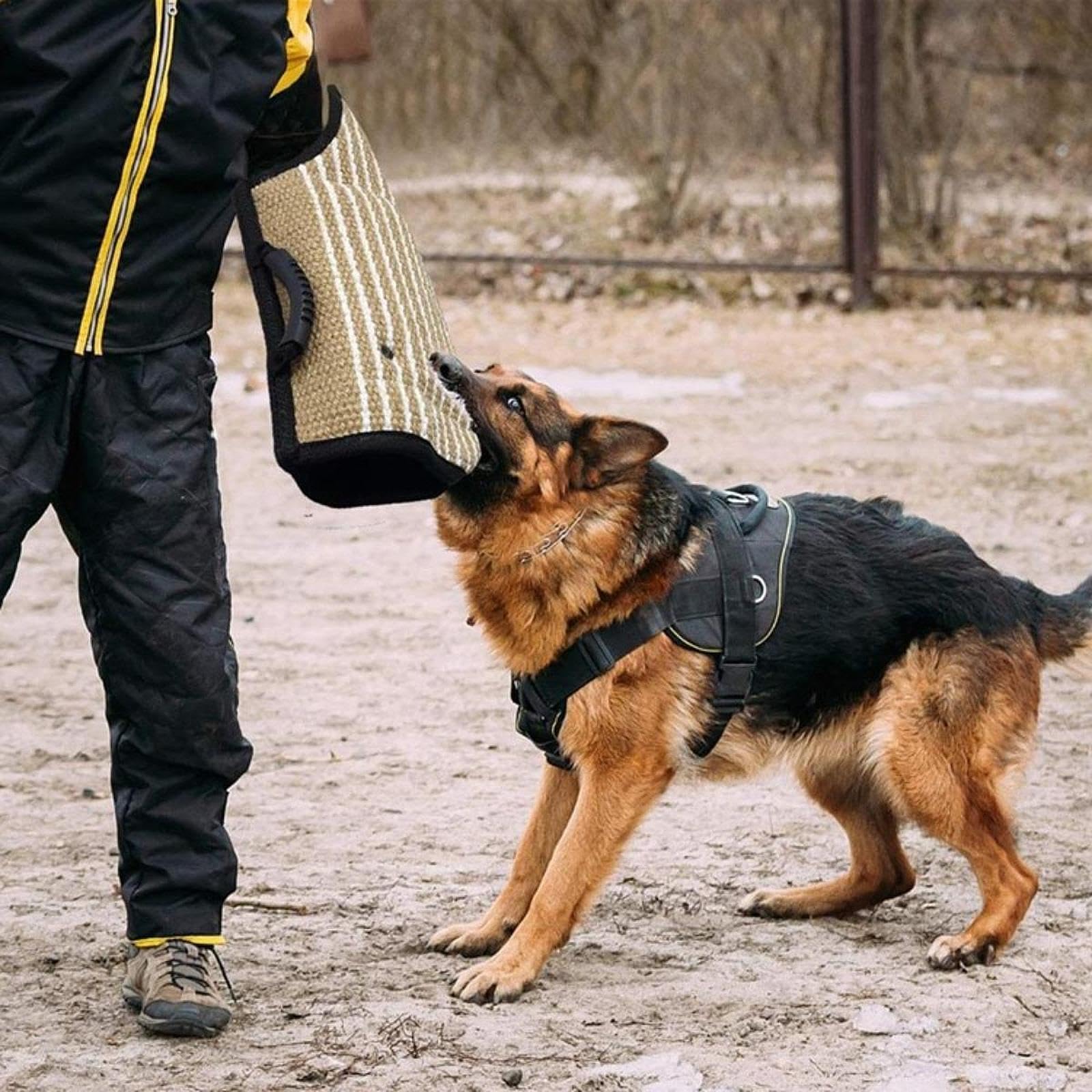 Kit de Adiestramiento para Perros Mordedores