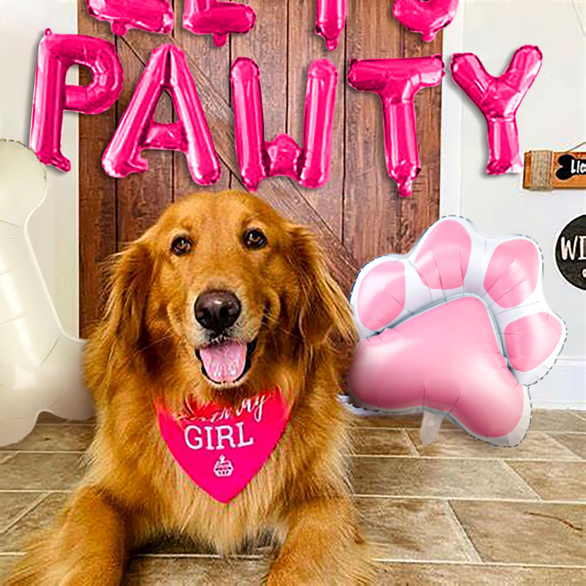 Lot de 16 fournitures de fête d'anniversaire pour chien, décorations de fête d'anniversaire pour Lot de 16 fournitures de fête d'anniversaire pour chien, décorations de fête d'anniversaire pour