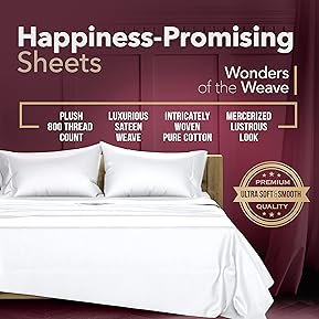The Best 800-Count Thread Sheets for Hot Sleepers 7 81RJv7sfzhL. AC SL289