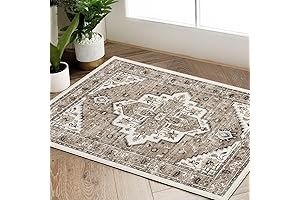 jinchan Area Rug 2x3 Tribal Entryway Rug