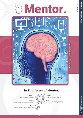 Mini Mentor: February 2022 (Mentor. Magazine)