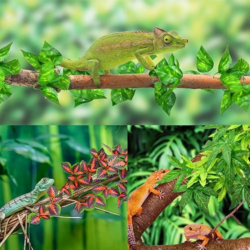 Miniatura 5 de KATUMO Plantas de reptiles, 3 plantas colgantes de anfibios con ventosa para serpientes, dragones barbudos, lagartos, geckos, sapos, tanque de