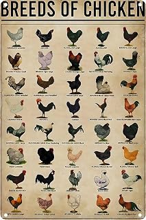 Chicken Breeds Poster Wall Art Home Decor Vintage Iron Painting Metal Aluminum Sign Chicken Decor8x12 Inches