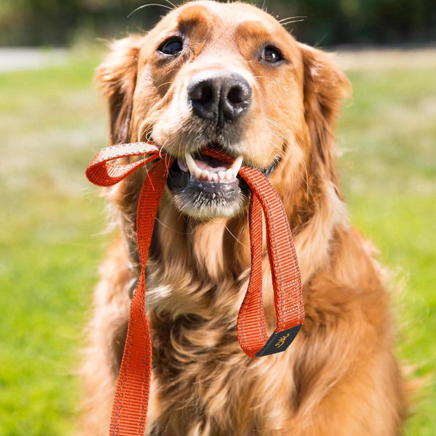Browning Classic Dog Leash, Safety Orange, 6ft x 1in