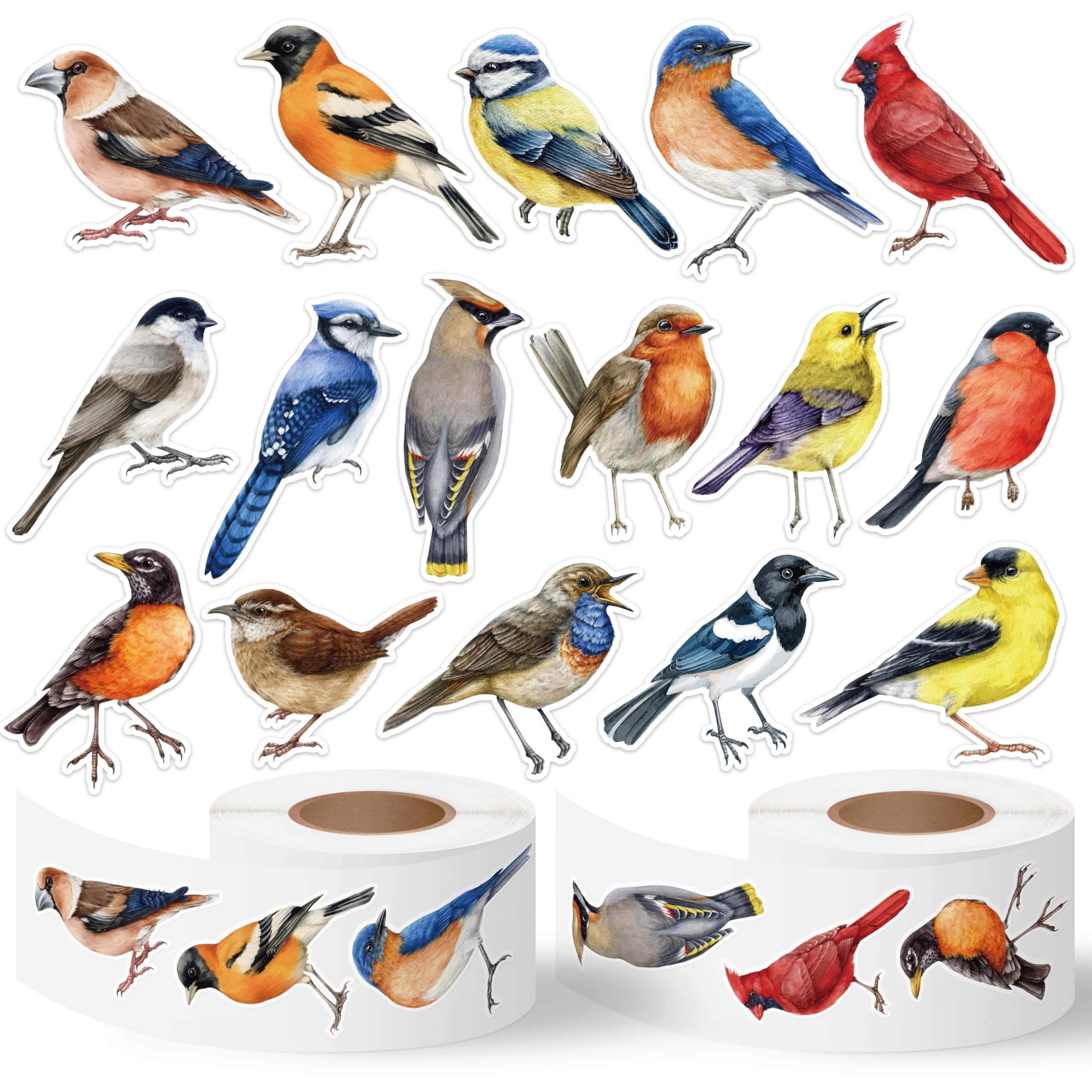 Autocollants aquarelle oiseaux CNhoqc en rouleau de 1000 pièces imperméables pour scrapbooking