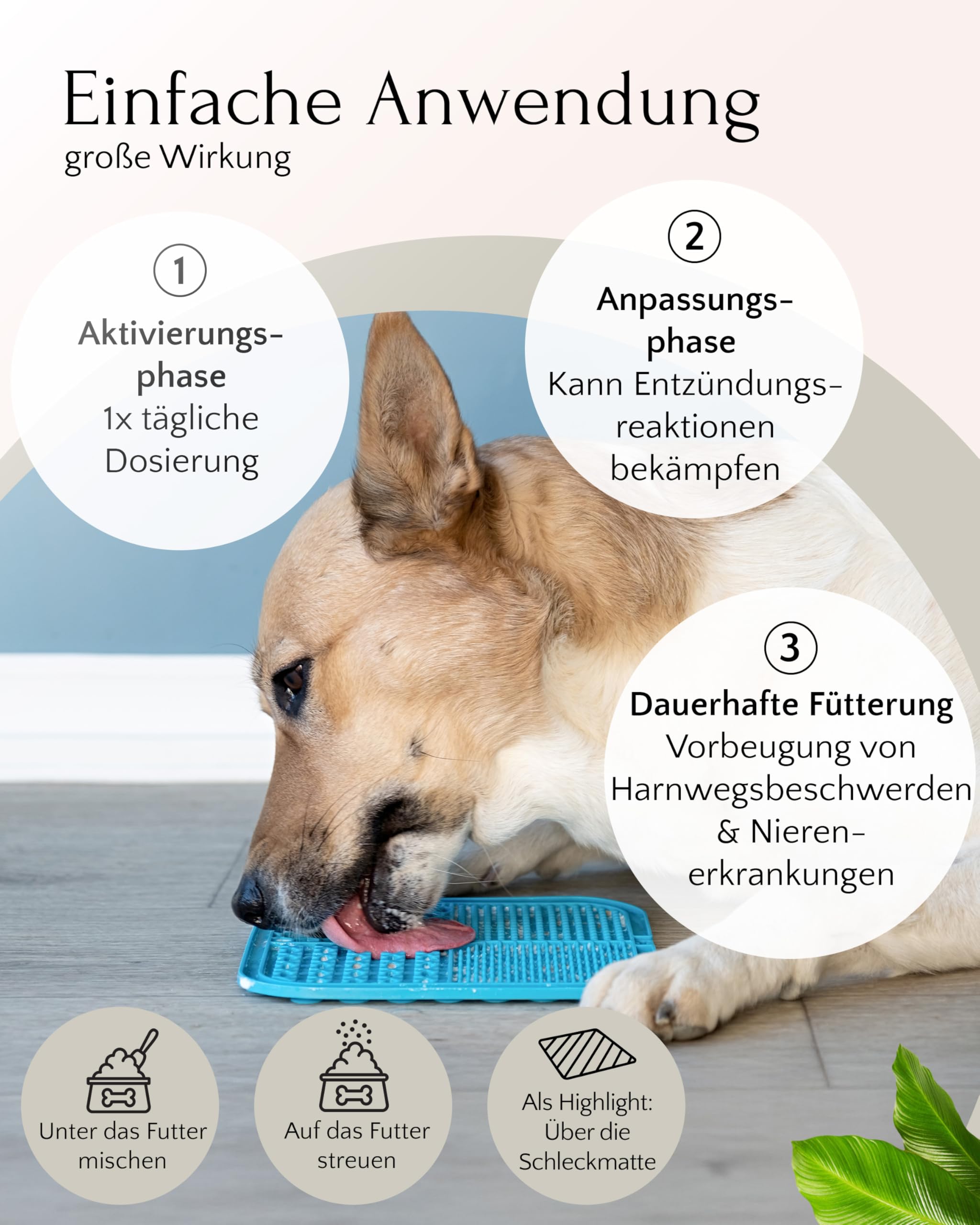 FAVLY – UROCARE Nieren & Blase Pulver 250g für Hunde & Katzen – Futtertopping zur Unterstützung bei Harnstein, Infekt & CNI – mit Arnika, Propolis, Ringelblume & Kokos – Ohne Getreide & Zusätze
