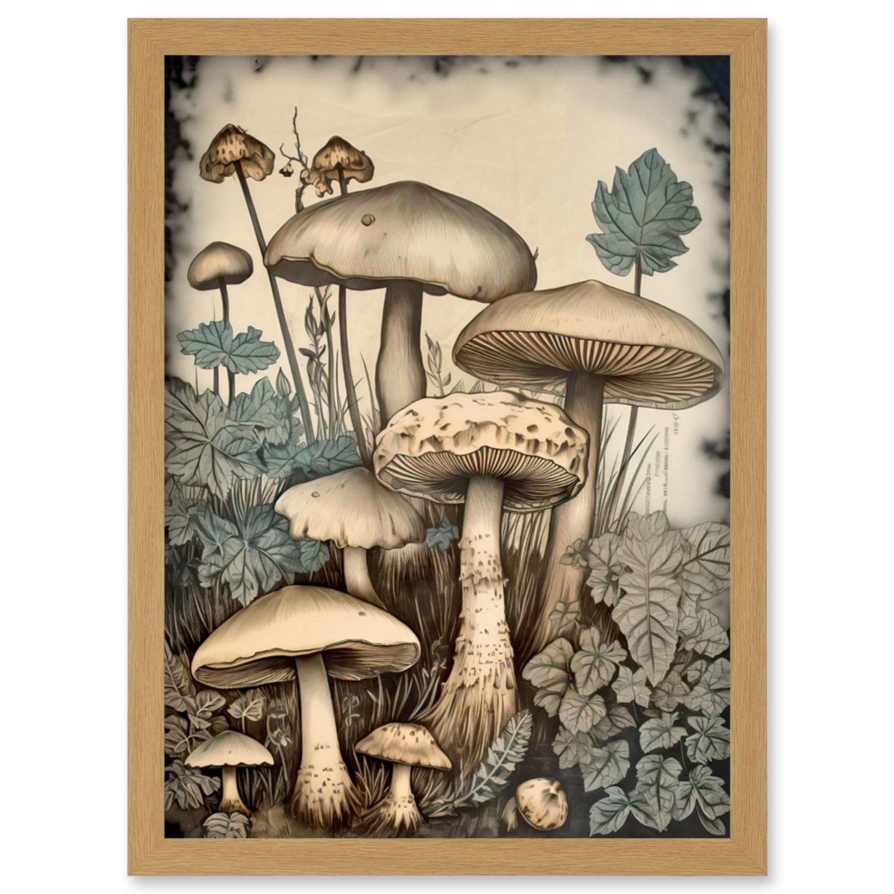 Artery8 Mushroom Fungi Watercolour Vintage Cottagecore Aesthetic Rustic Decor Artwork Framed Wall Art Print A4
