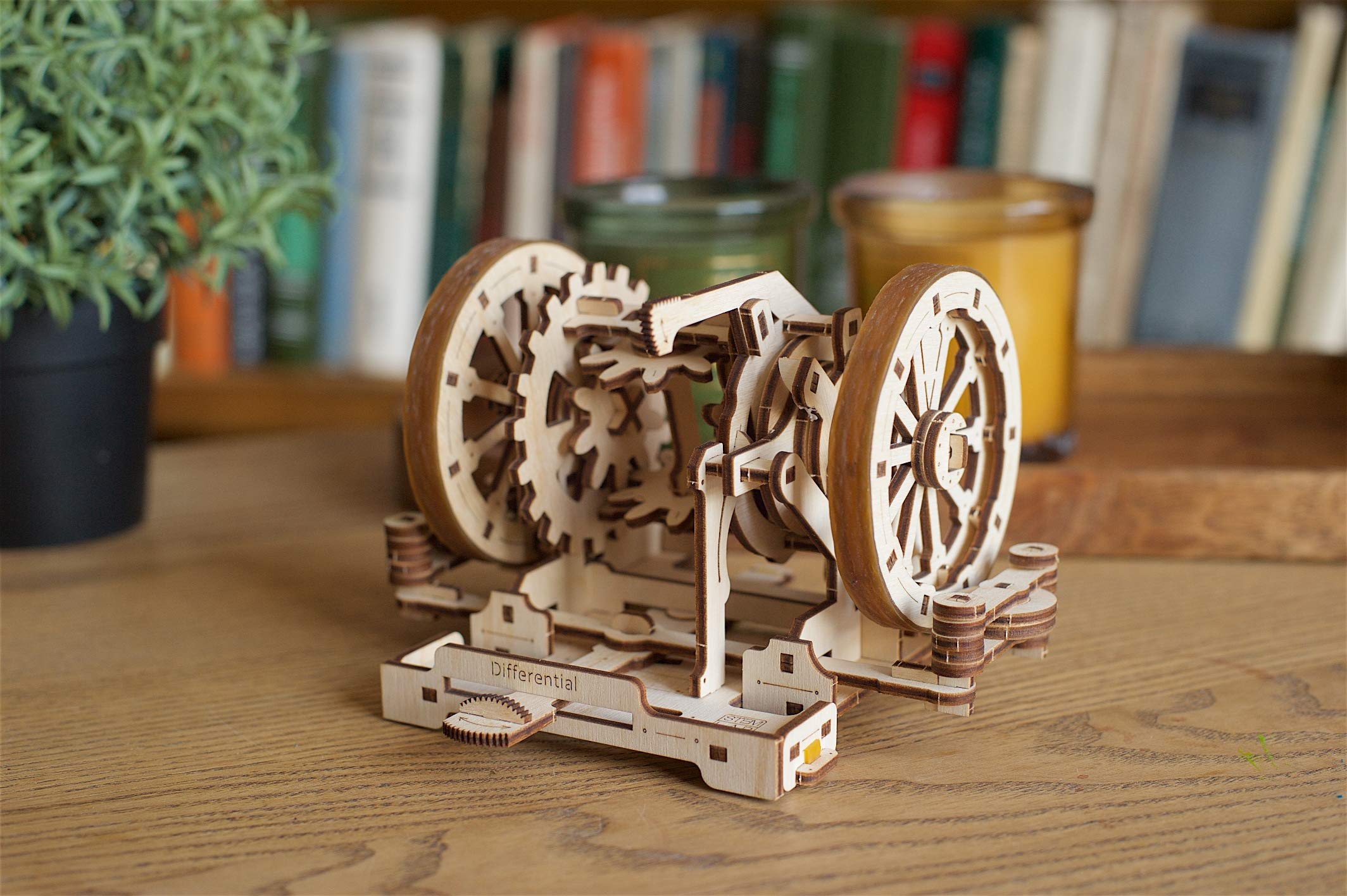 Buy UGEARS STEM Differential Model Kit Creative Wooden Model Kits for