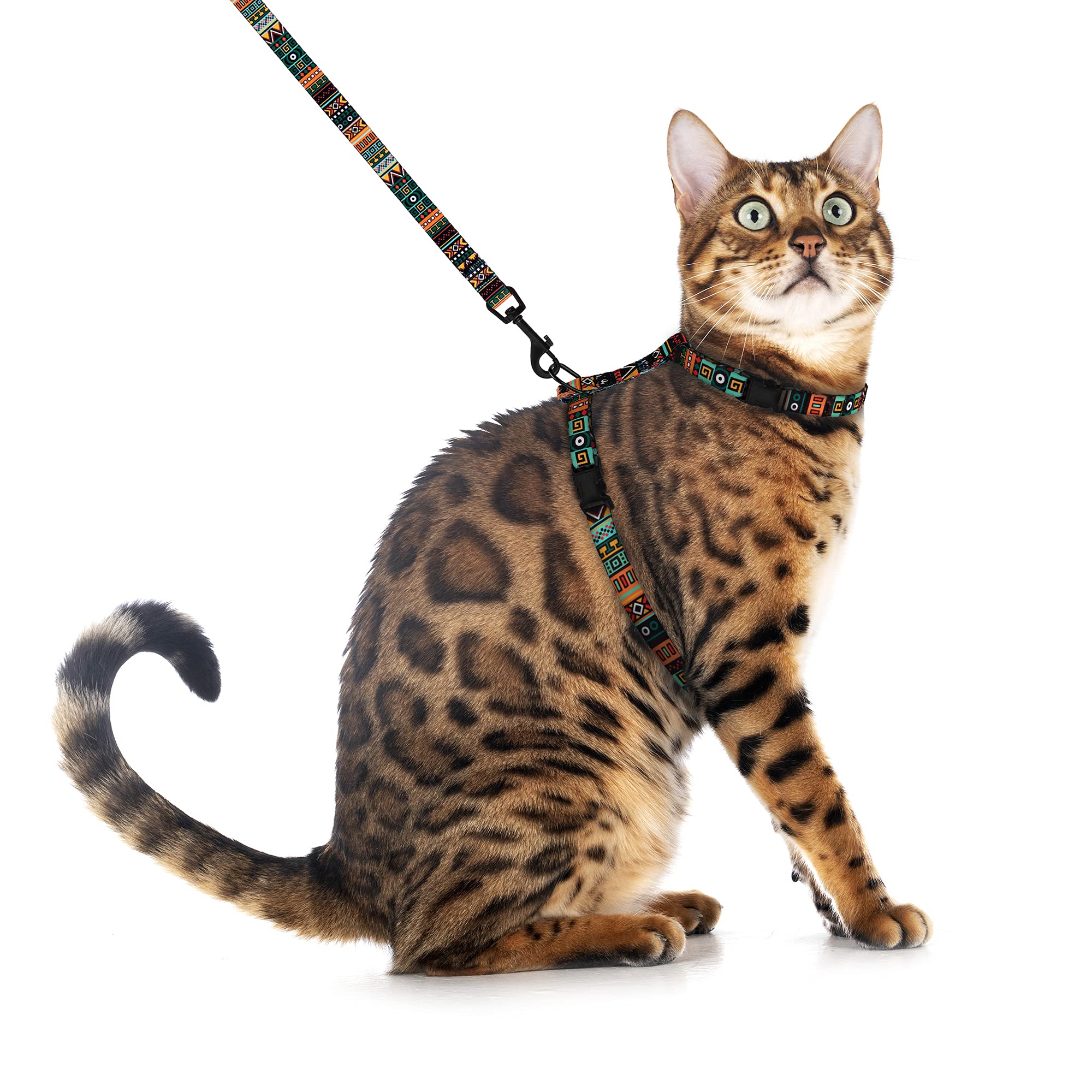 PetSafe Come With Me Kitty Black Silver Harness And Bungee