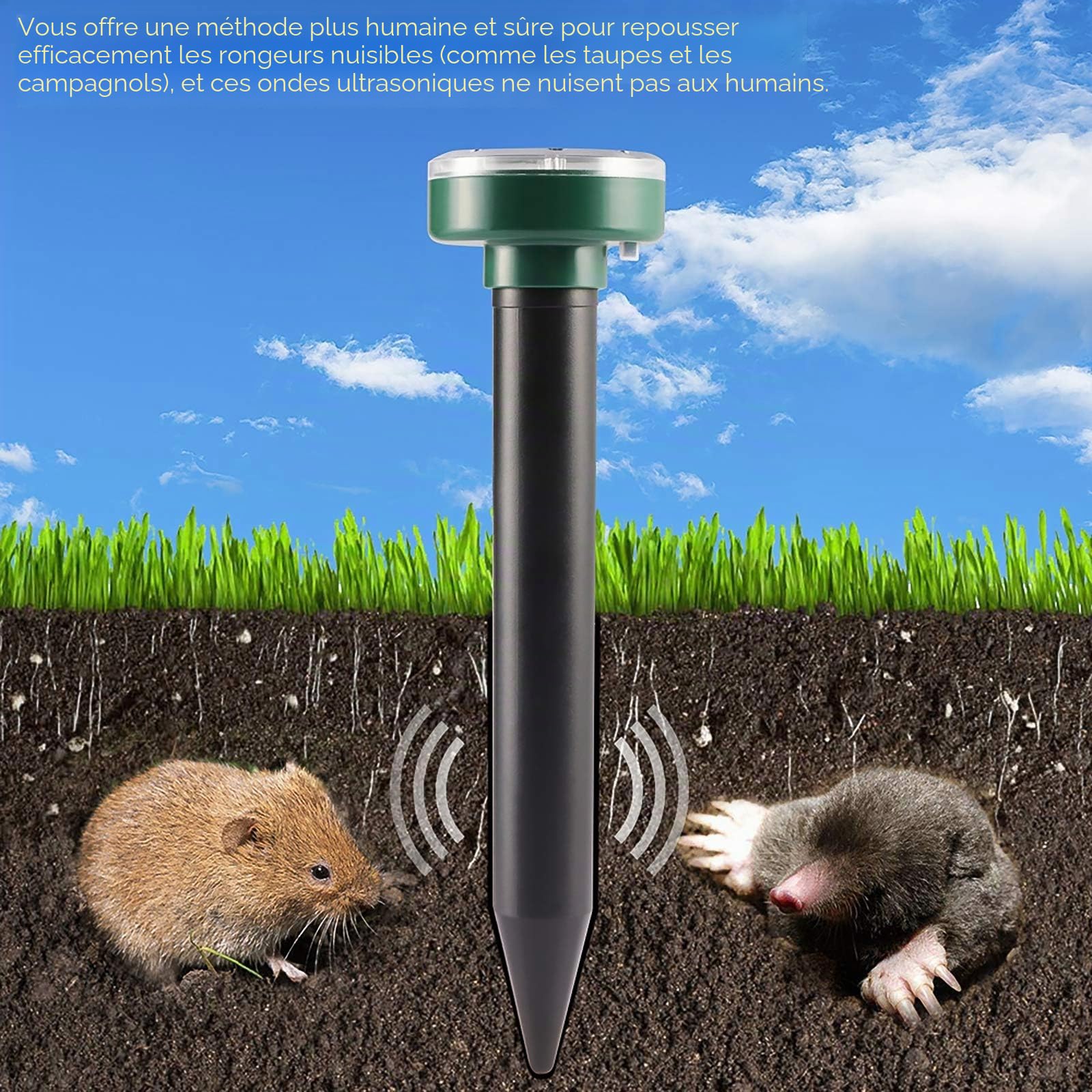 Lot de 4 répulsifs solaires à ultrasons pour Taupes et Taupes - Étanches - Répulsif pour Animaux - Marmotte - Serpent - pour pelouse et Jardin