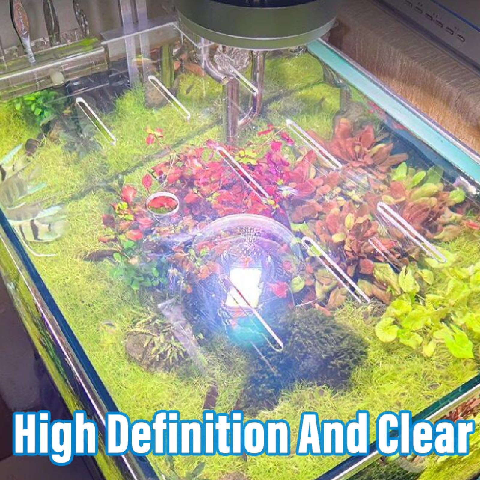 Couvercle d'aquarium en acrylique haute transparence avec trous, alimentation facile, design anti-poussière pour aquariums et aquariums domestiques