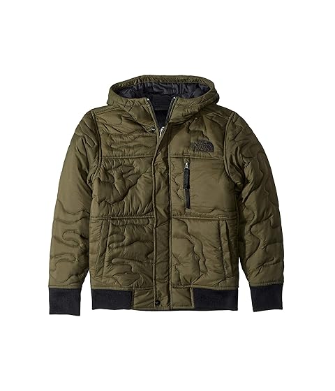 north face insulated hoodie