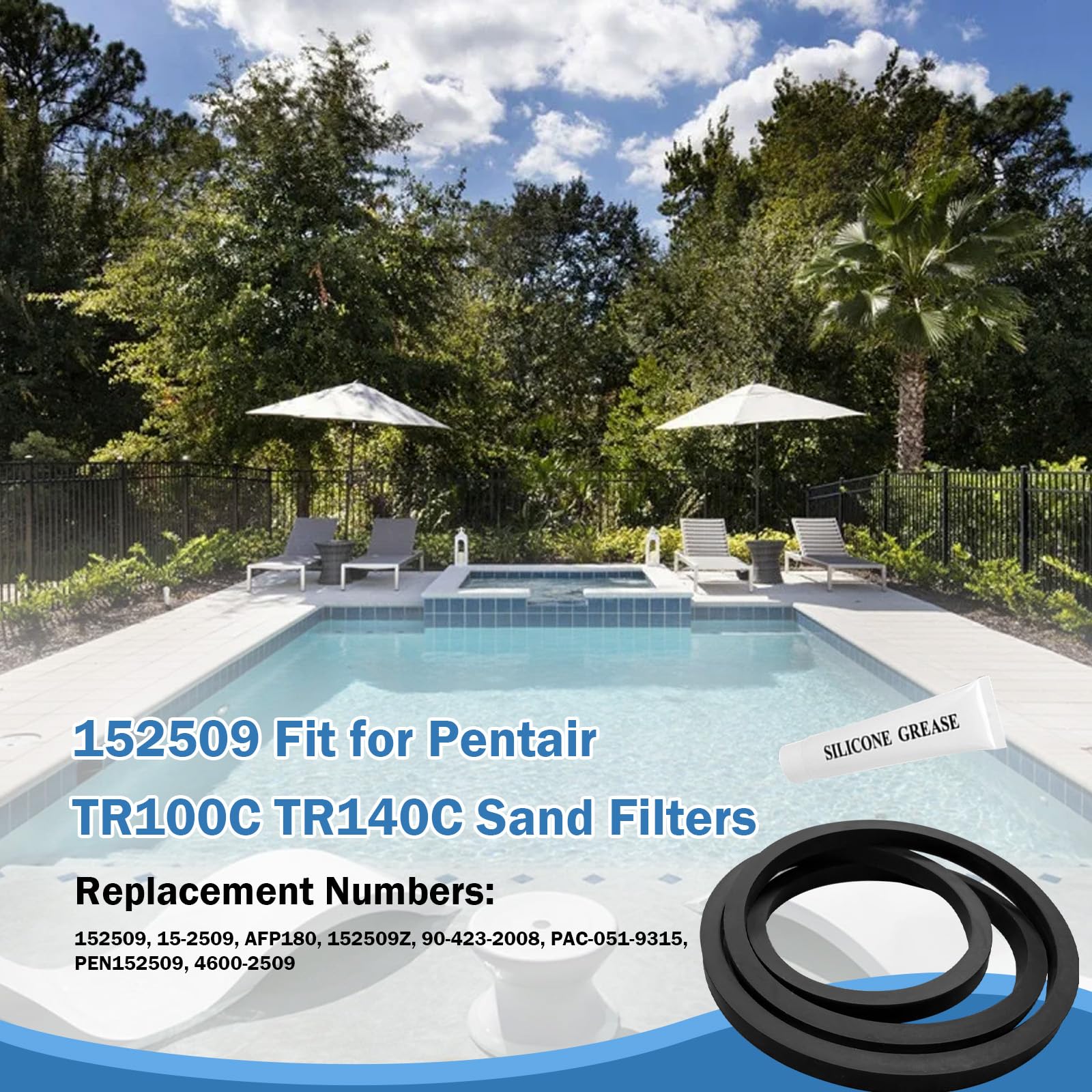 Amazon.com: 152509Z Lid O-Ring Compatible with Pentair 152509 8-1