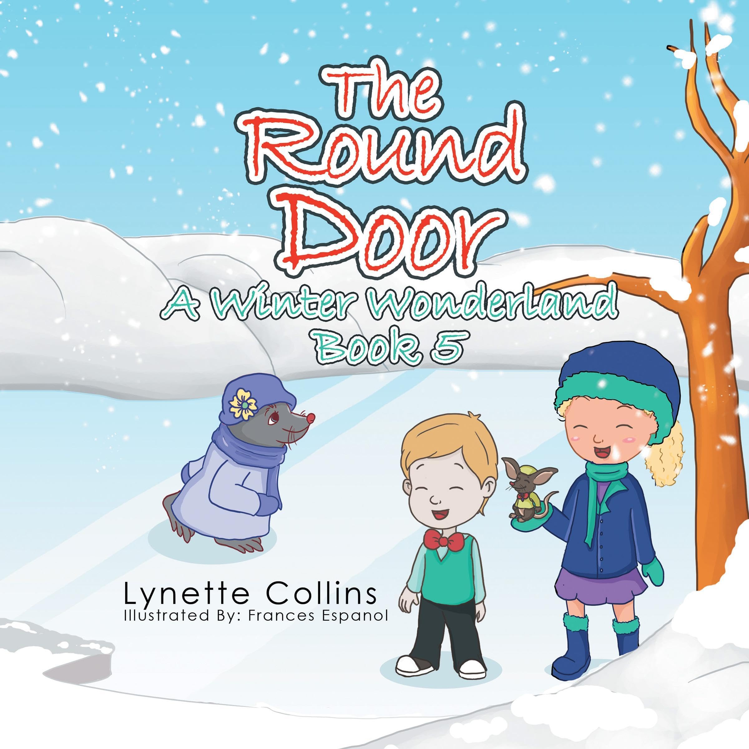 Cover art for A Winter Wonderland