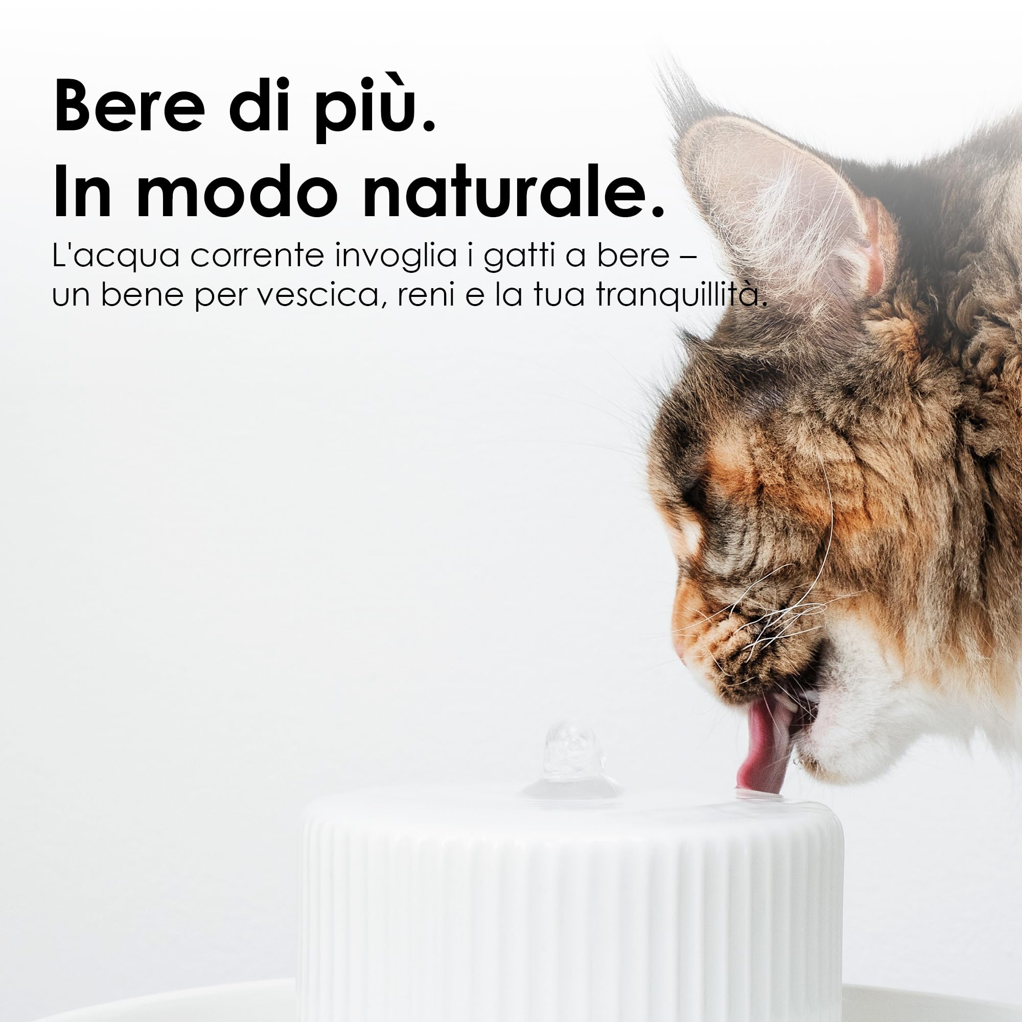 LucyBalu® Trevi Fontana per gatti in ceramica da 2.8 litri I Antracite