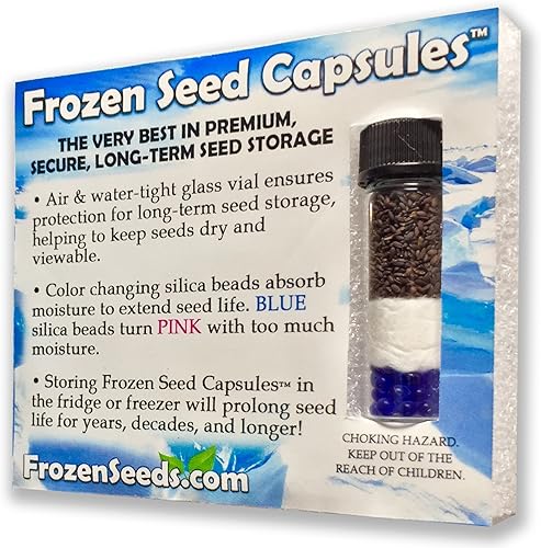 Miniatura 1 de White Stars - Semillas de matricaria (Tanacetum parthenium) Más de 20 semillas de hierbas medicinales en cápsulas de semillas congeladas para el