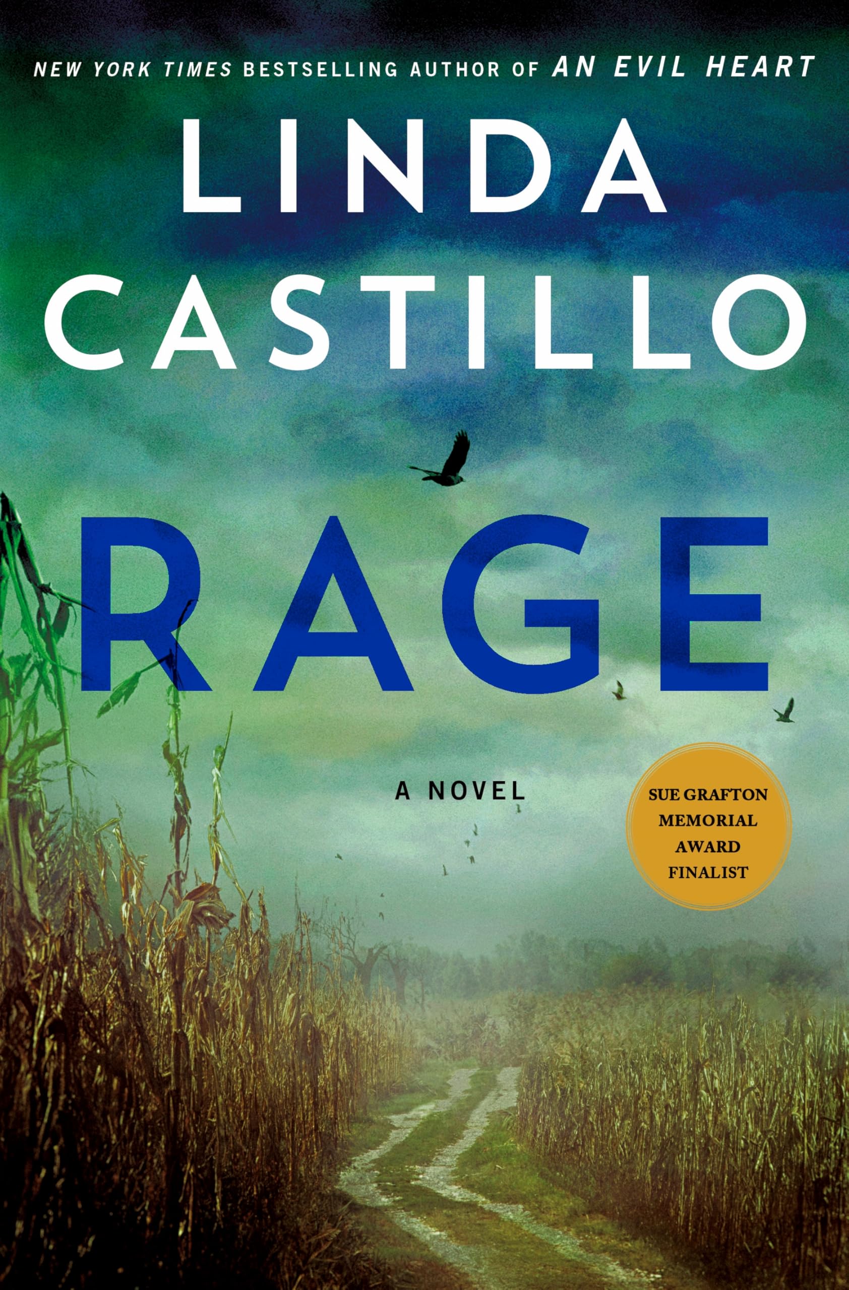 Rage: A Novel: 17 (Kate Burkholder)