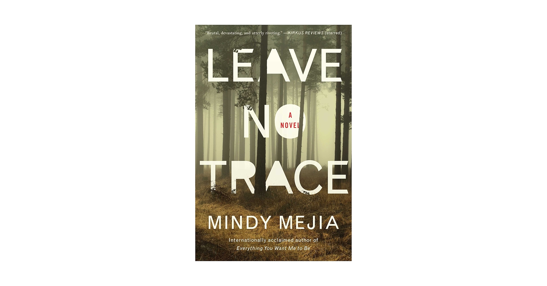 Leave No Trace: A Novel: Mejia, Mindy: 9781501177361: Amazon ...
