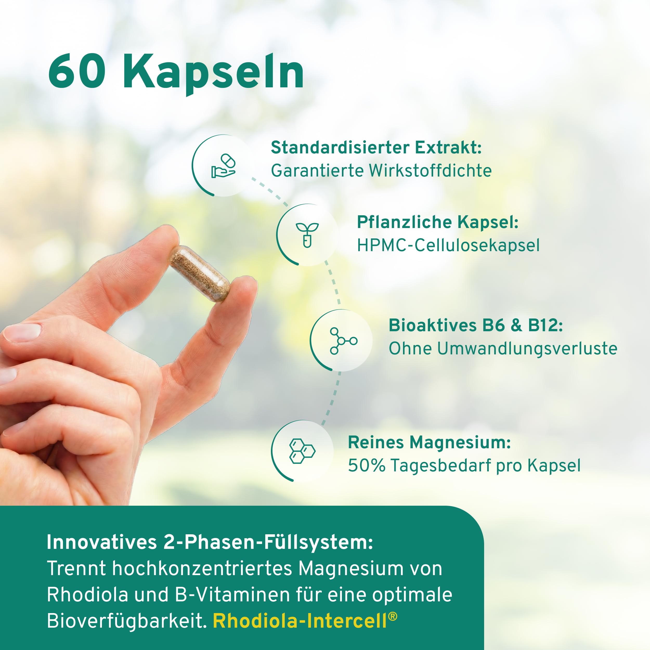 Rhodiola Intercell mit B-Vitaminen für das Nervensystem und Verringerung von Müdigkeit & Erschöpfung (60 Kapseln) - Rosea Extrakt mit Magnesium hochdosiert, Vitamin B1, B6, B12 & Vitamin D3
