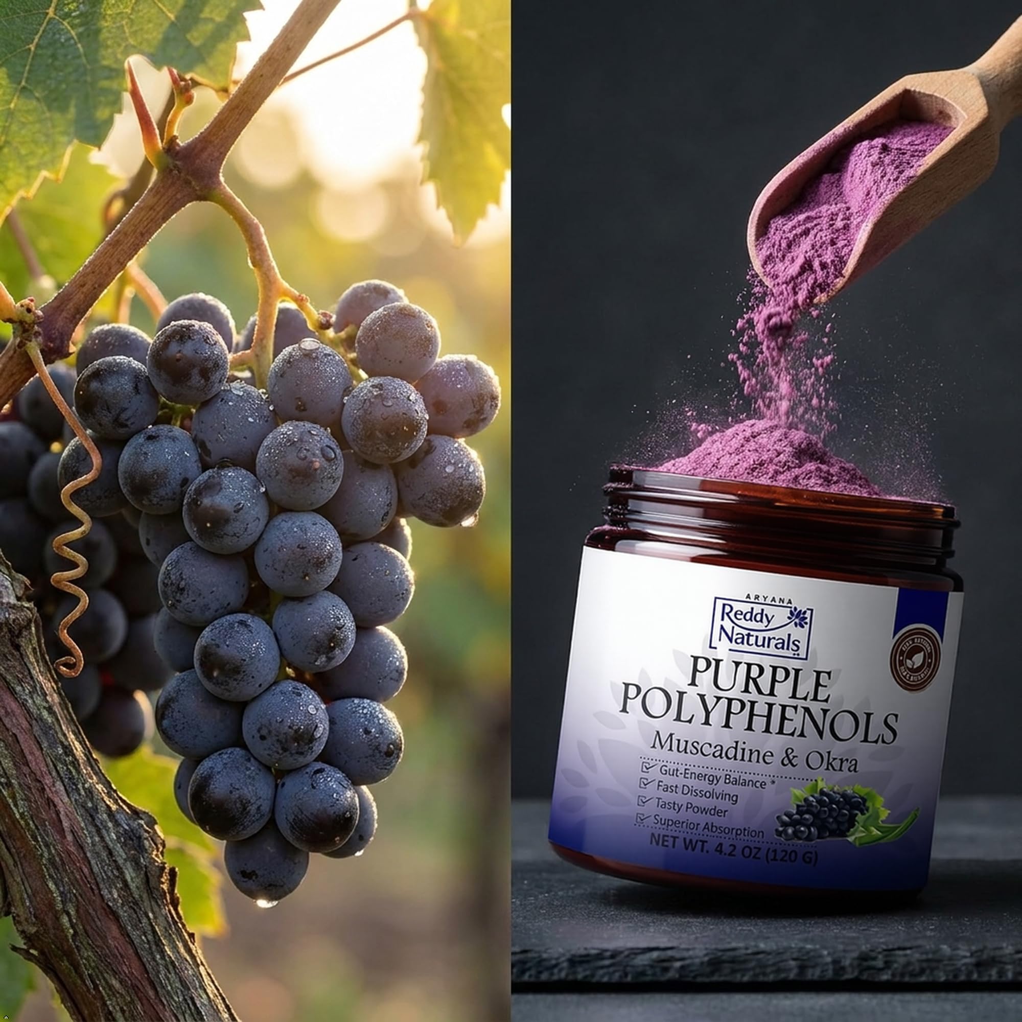 Purple Polyphenols Antioxidant Superfood Powder Drink Mix — Amazon image 7