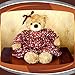 Teddy Bear Live Wallpapers