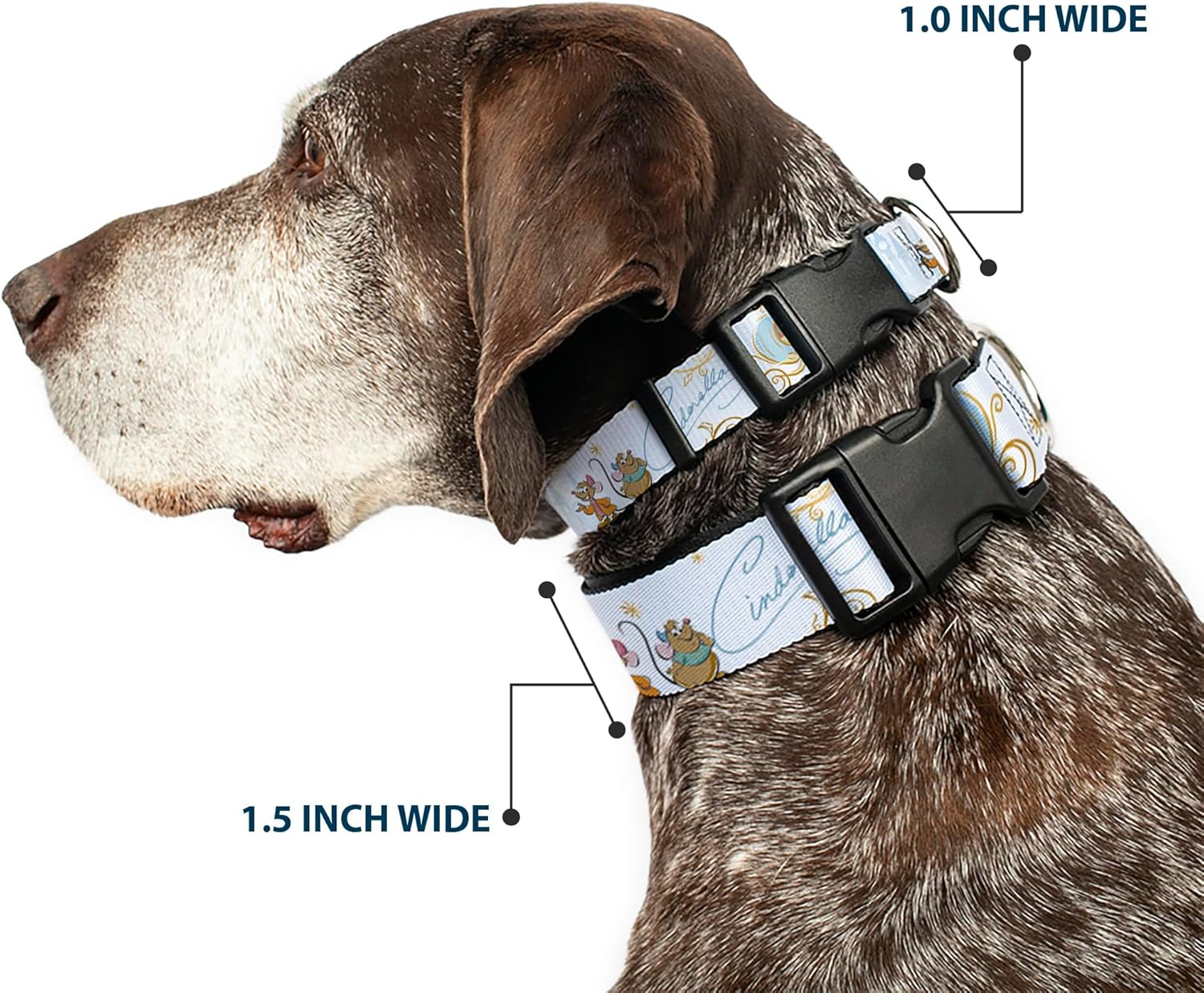 Buckle-Down Dog Collar Plastic Clip Cinderella Pumpkin Coach and Mice Pose with Script Blues 13 to 17 Inches 1.5 Inch Wide