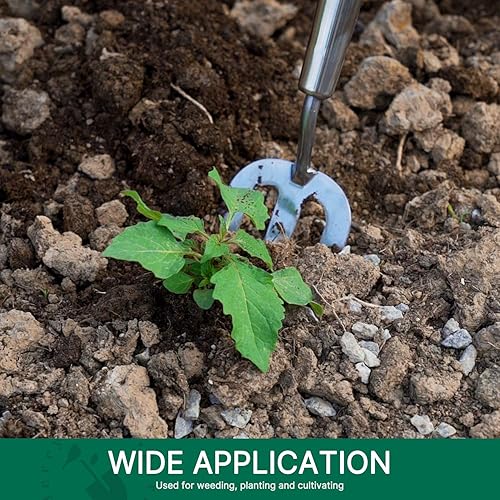 Miniatura 8 de Berry&Bird Tenedor de mano de jardinería, tenedor de acero inoxidable de mango largo de 22.6 pulgadas, herramienta tradicional de horquilla de mano