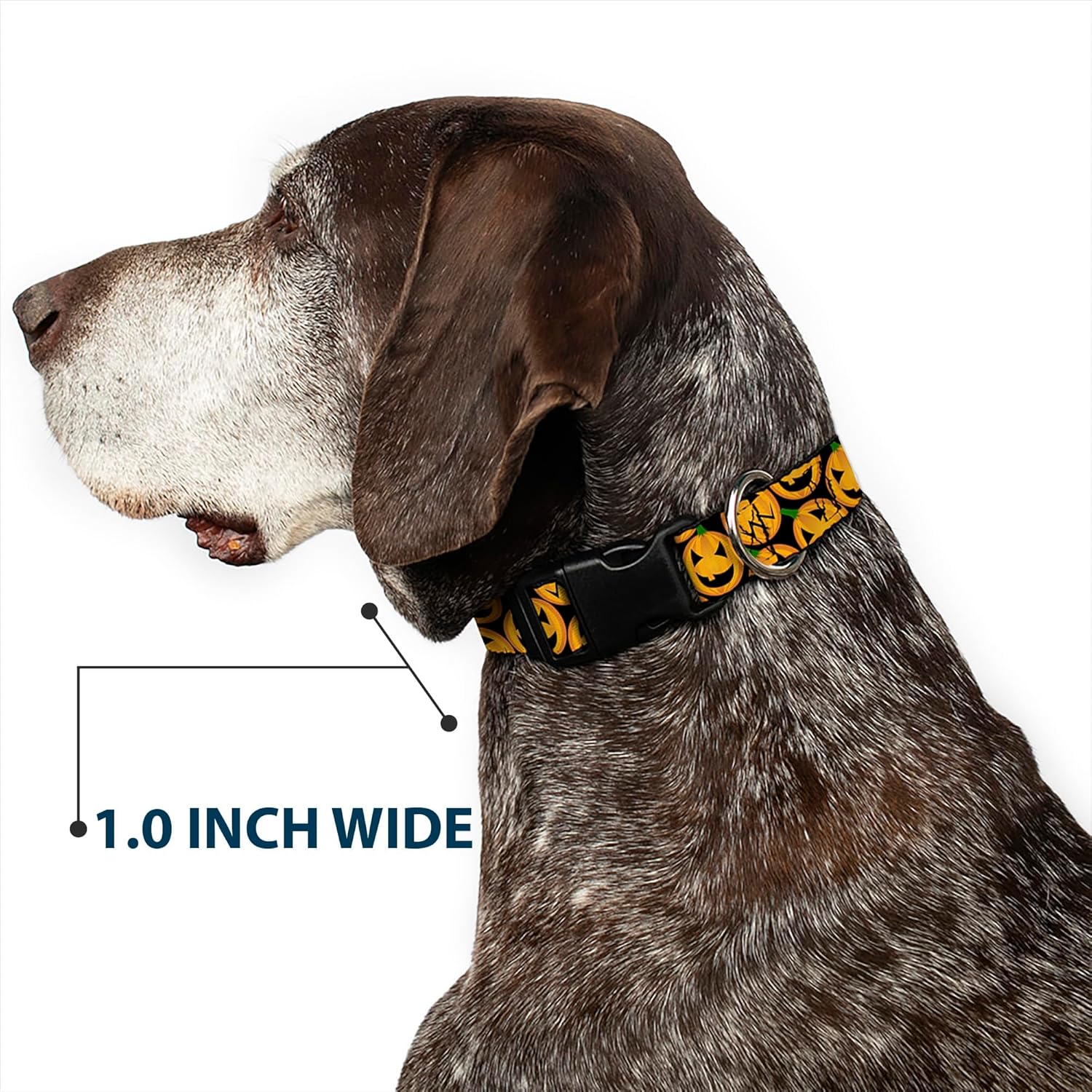 Buckle-Down Plastic Clip Collar - Jack-o'-Lantern Collage Black - 1.5" Wide - Fits 18-32" Neck - Large